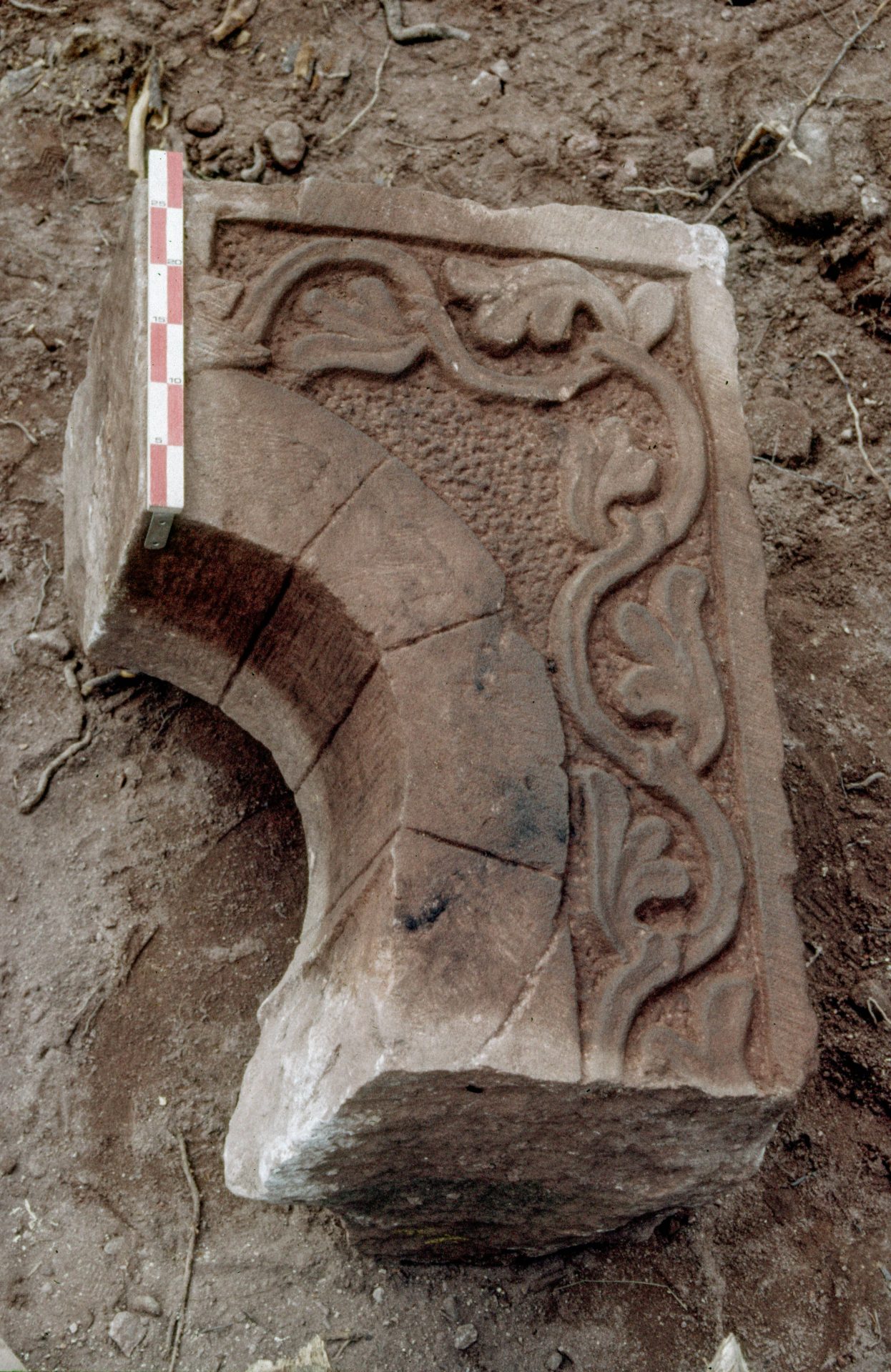Diapositive - Daubenschlag-Warthenberg - 1986 - 35