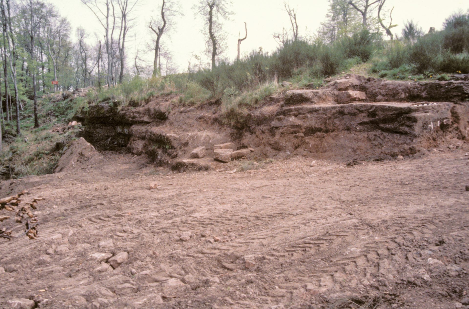 Diapositive - Daubenschlag-Warthenberg - 1988 - 06