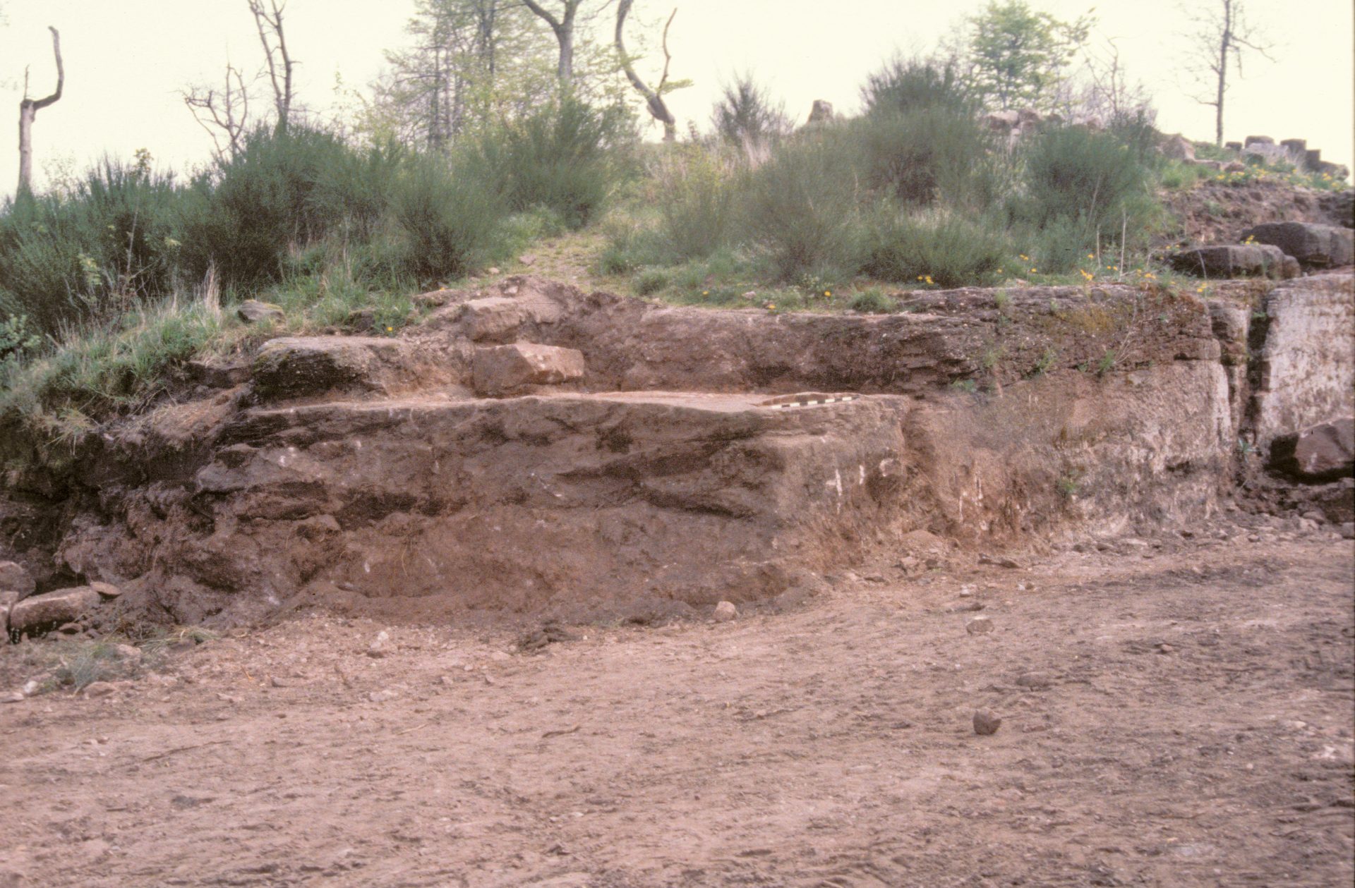 Diapositive - Daubenschlag-Warthenberg - 1988 - 07