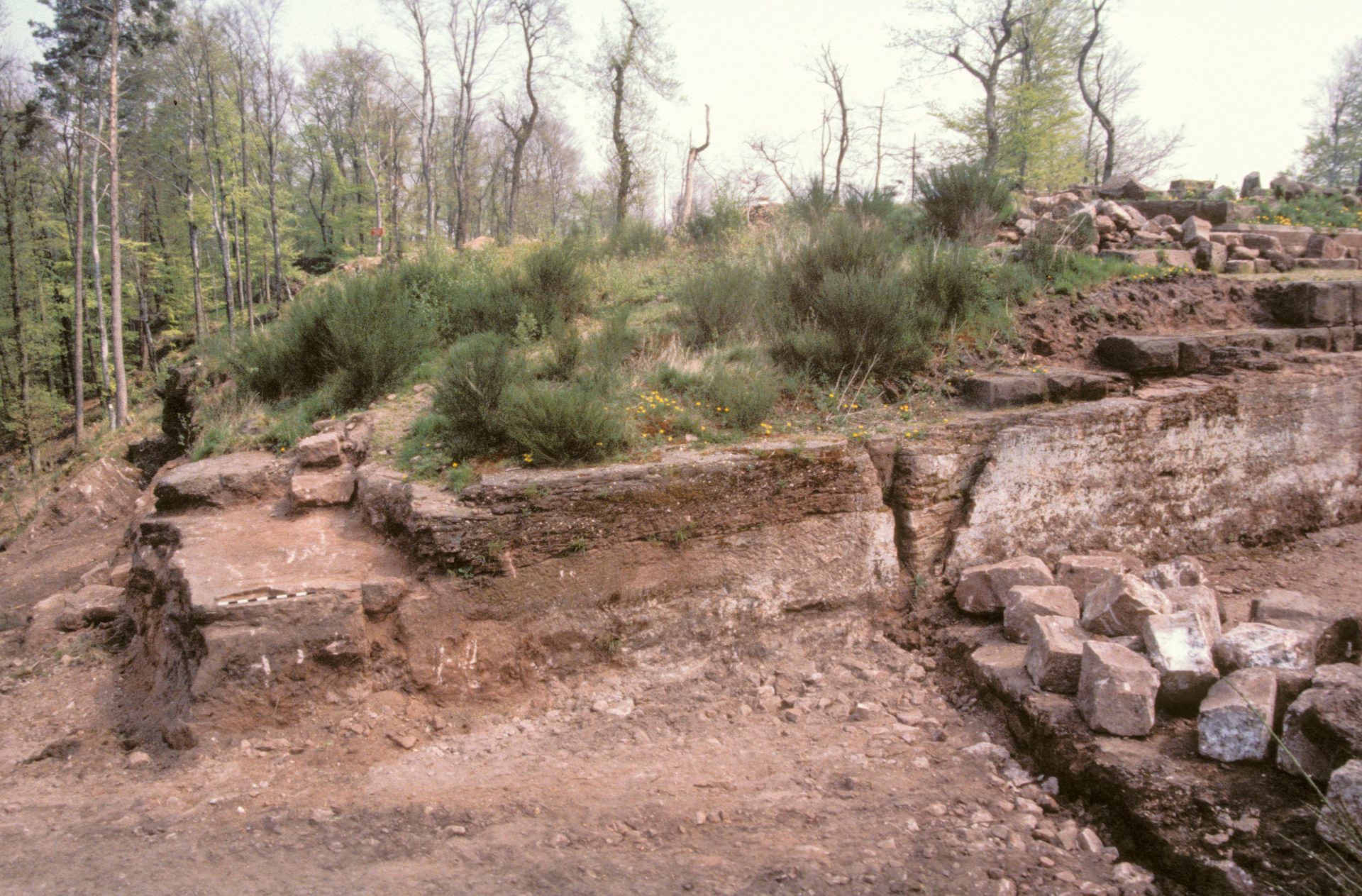Diapositive - Daubenschlag-Warthenberg - 1988 - 09