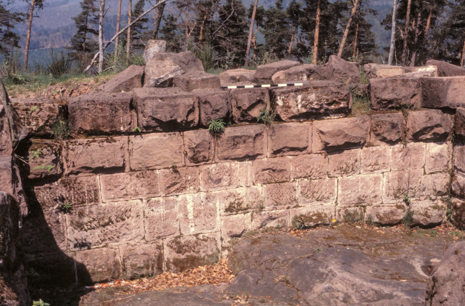 Diapositive - Daubenschlag-Warthenberg - 1988 - 11