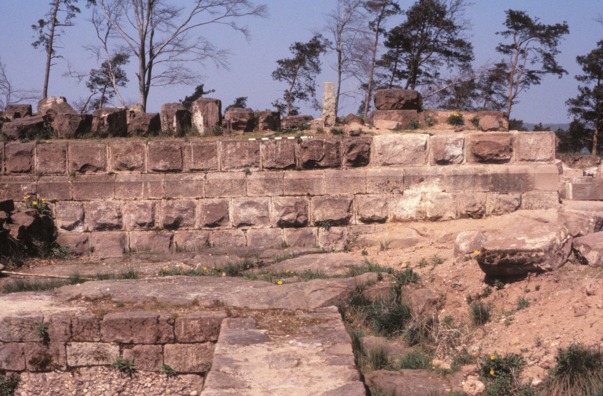 Diapositive - Daubenschlag-Warthenberg - 1988 - 14