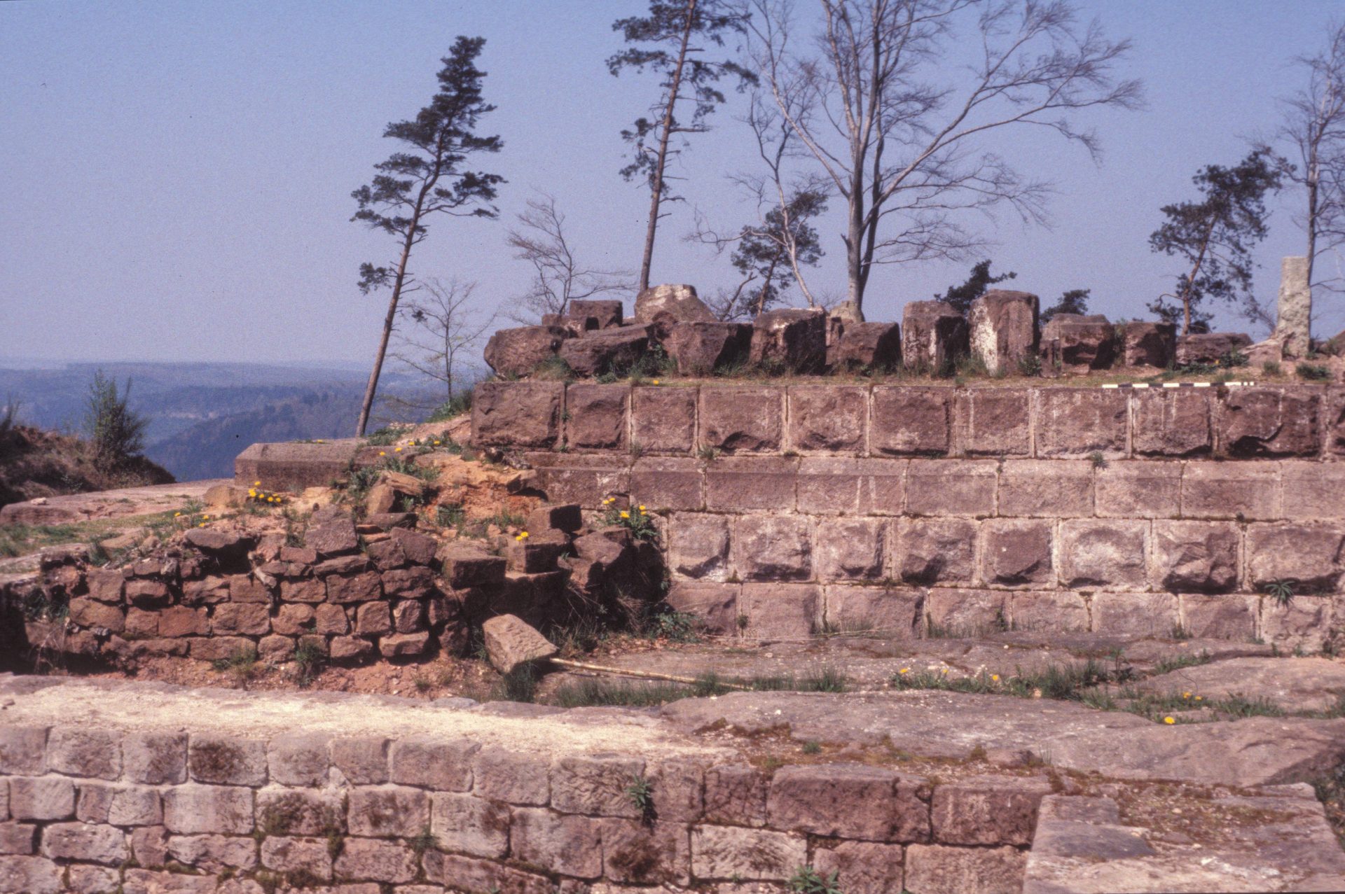 Diapositive - Daubenschlag-Warthenberg - 1988 - 15