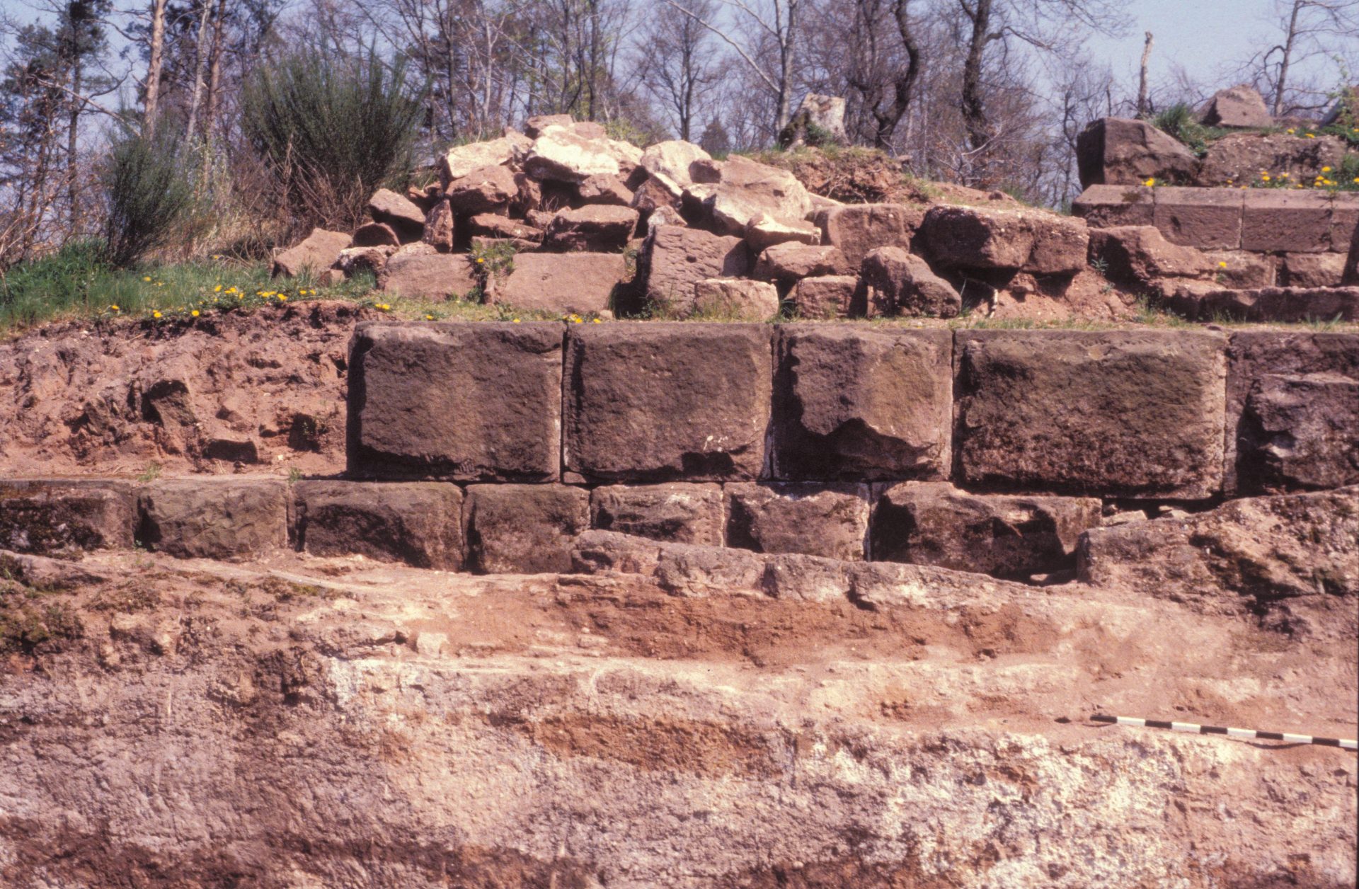 Diapositive - Daubenschlag-Warthenberg - 1988 - 18