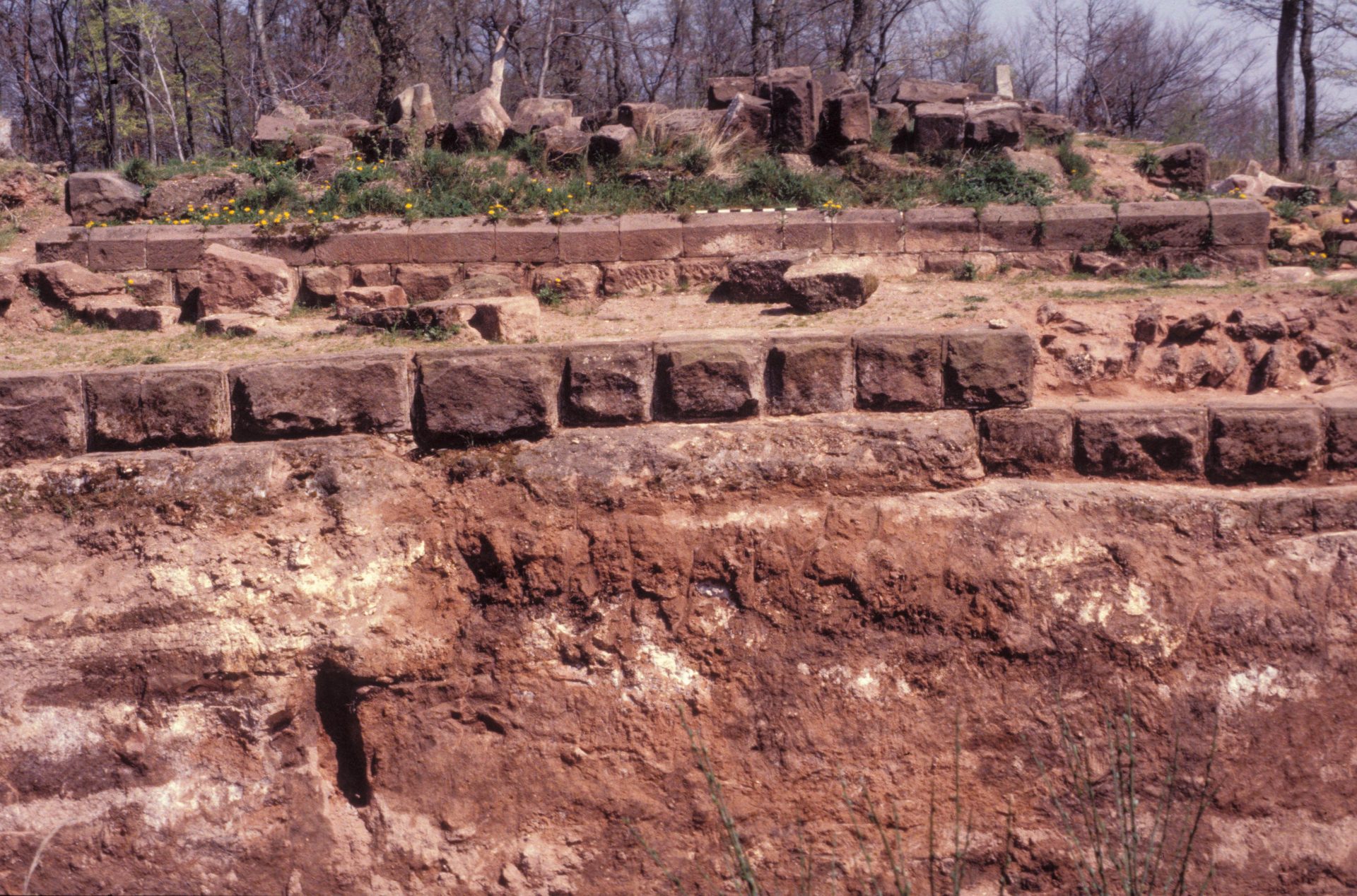 Diapositive - Daubenschlag-Warthenberg - 1988 - 19