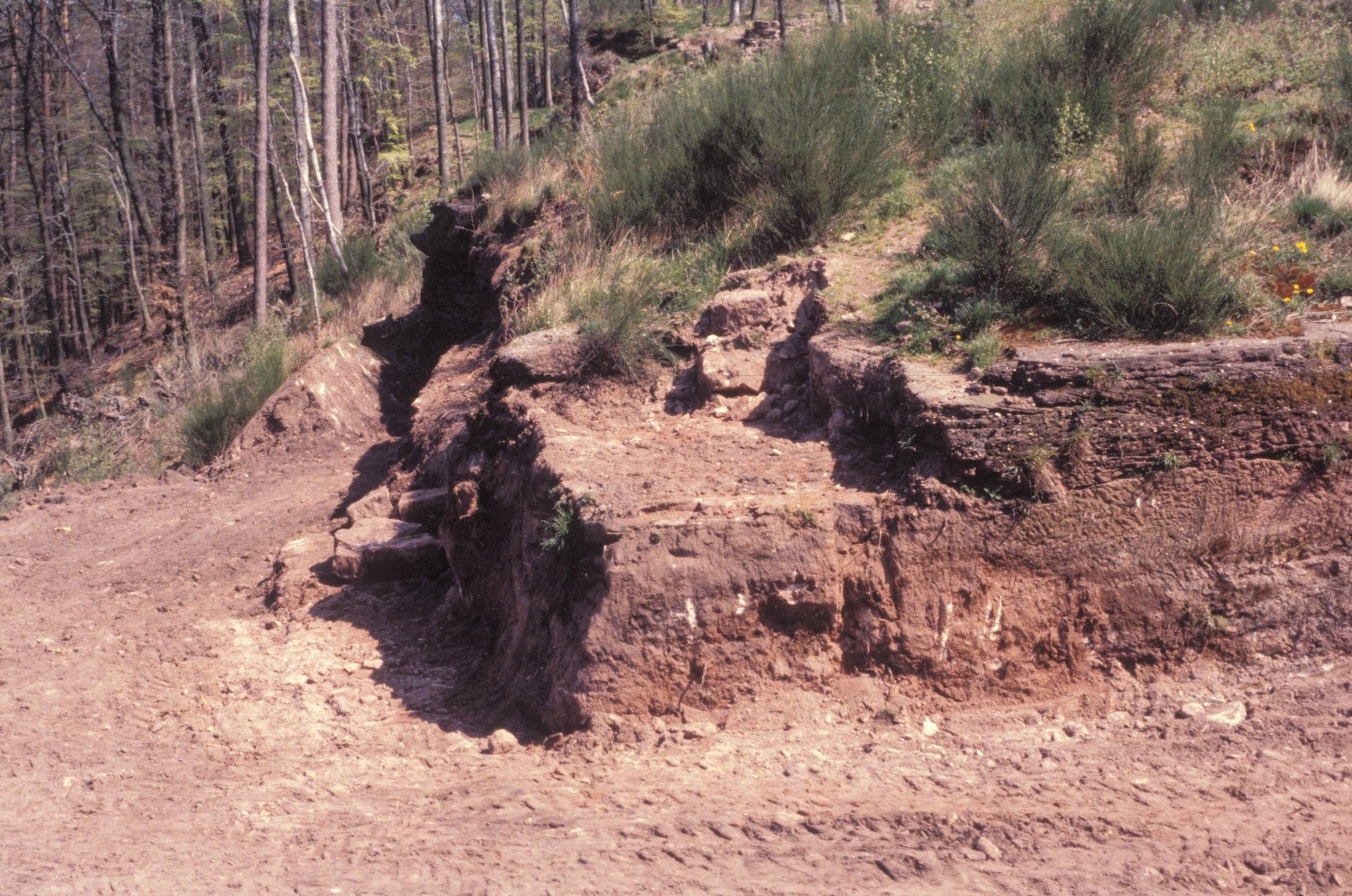 Diapositive - Daubenschlag-Warthenberg - 1988 - 20
