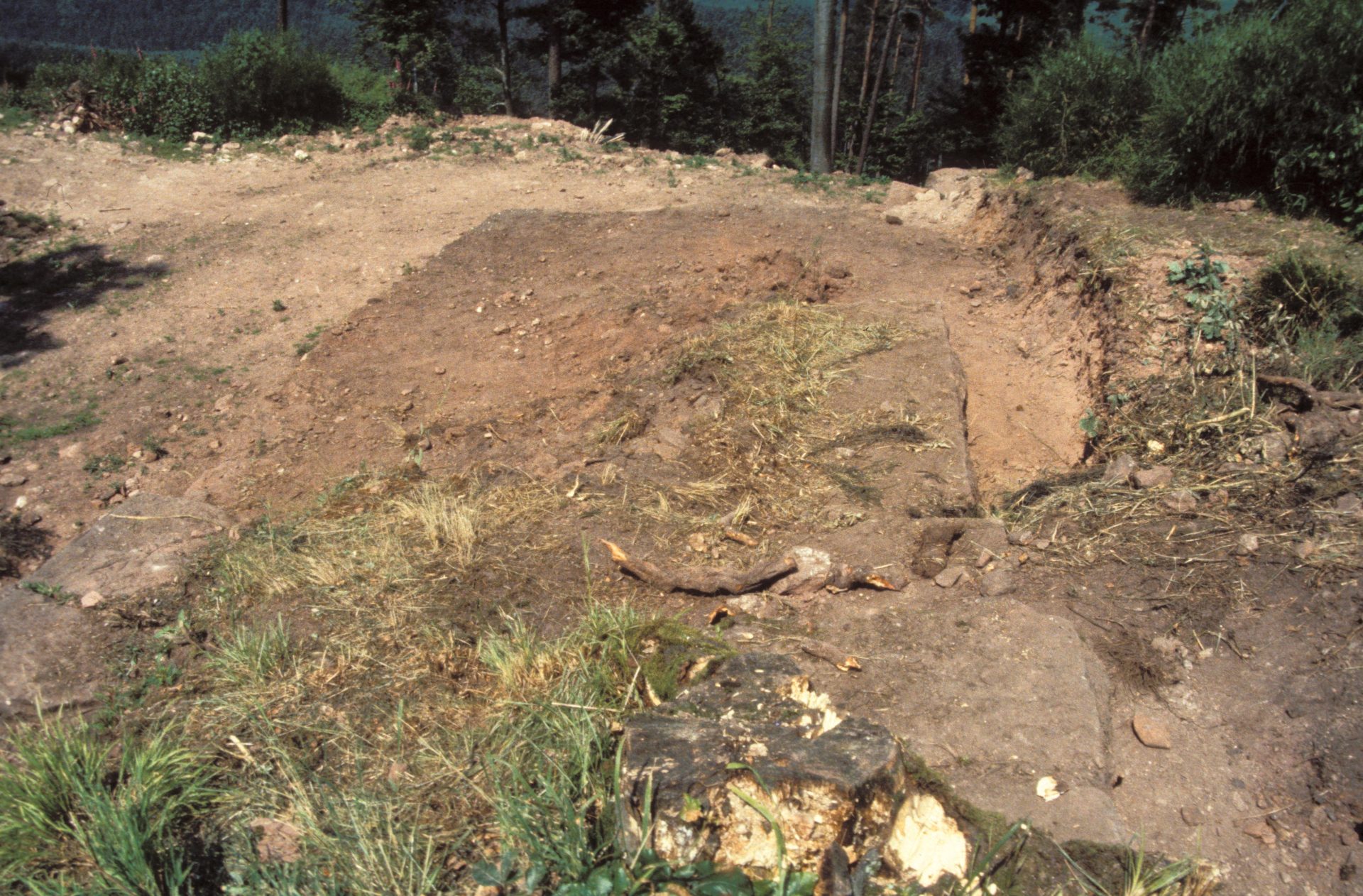 Diapositive - Daubenschlag-Warthenberg - 1988 - 21