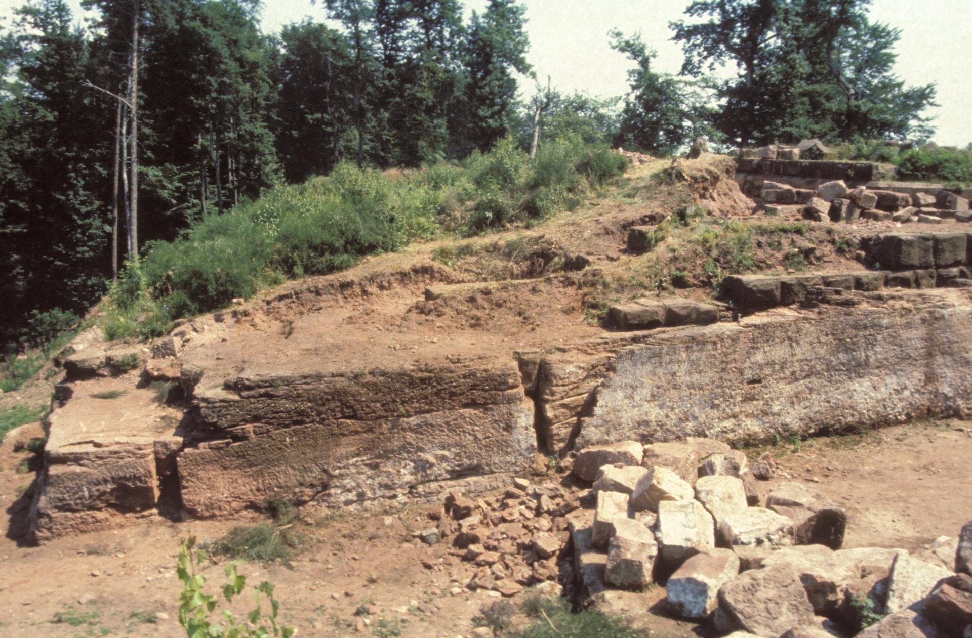 Diapositive - Daubenschlag-Warthenberg - 1988 - 22