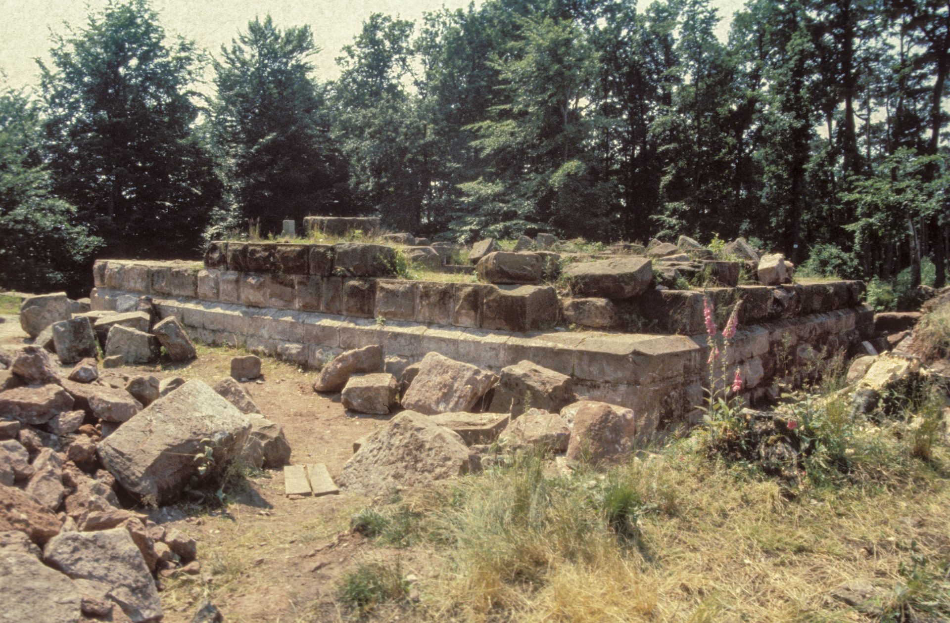Diapositive - Daubenschlag-Warthenberg - 1988 - 26