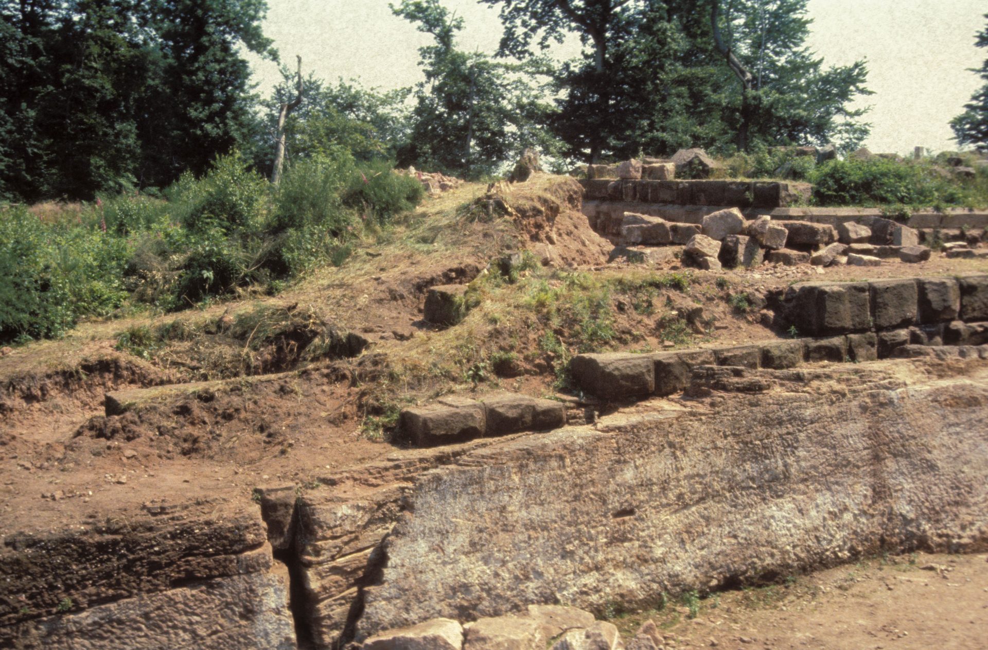 Diapositive - Daubenschlag-Warthenberg - 1988 - 28