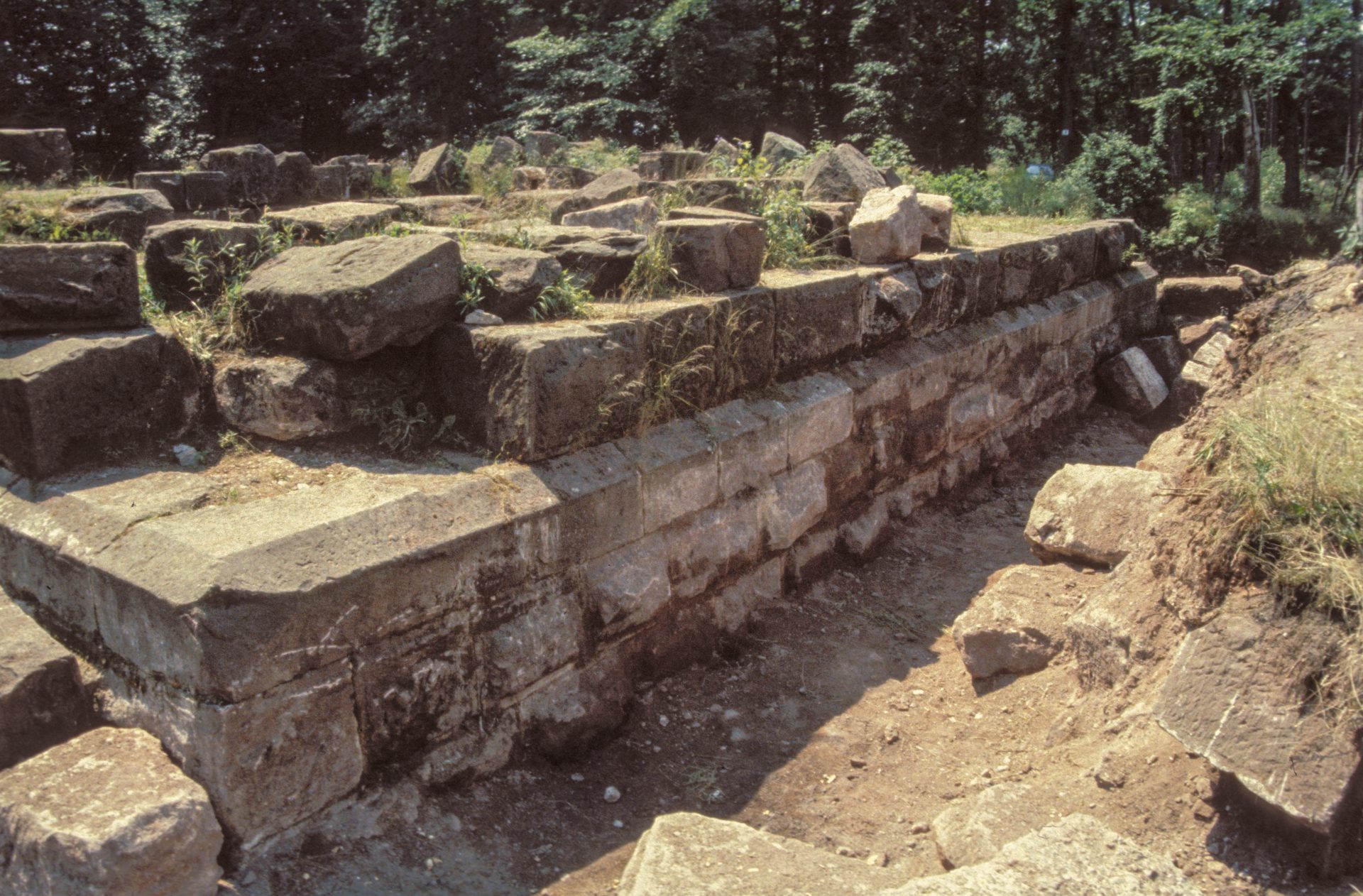 Diapositive - Daubenschlag-Warthenberg - 1988 - 29
