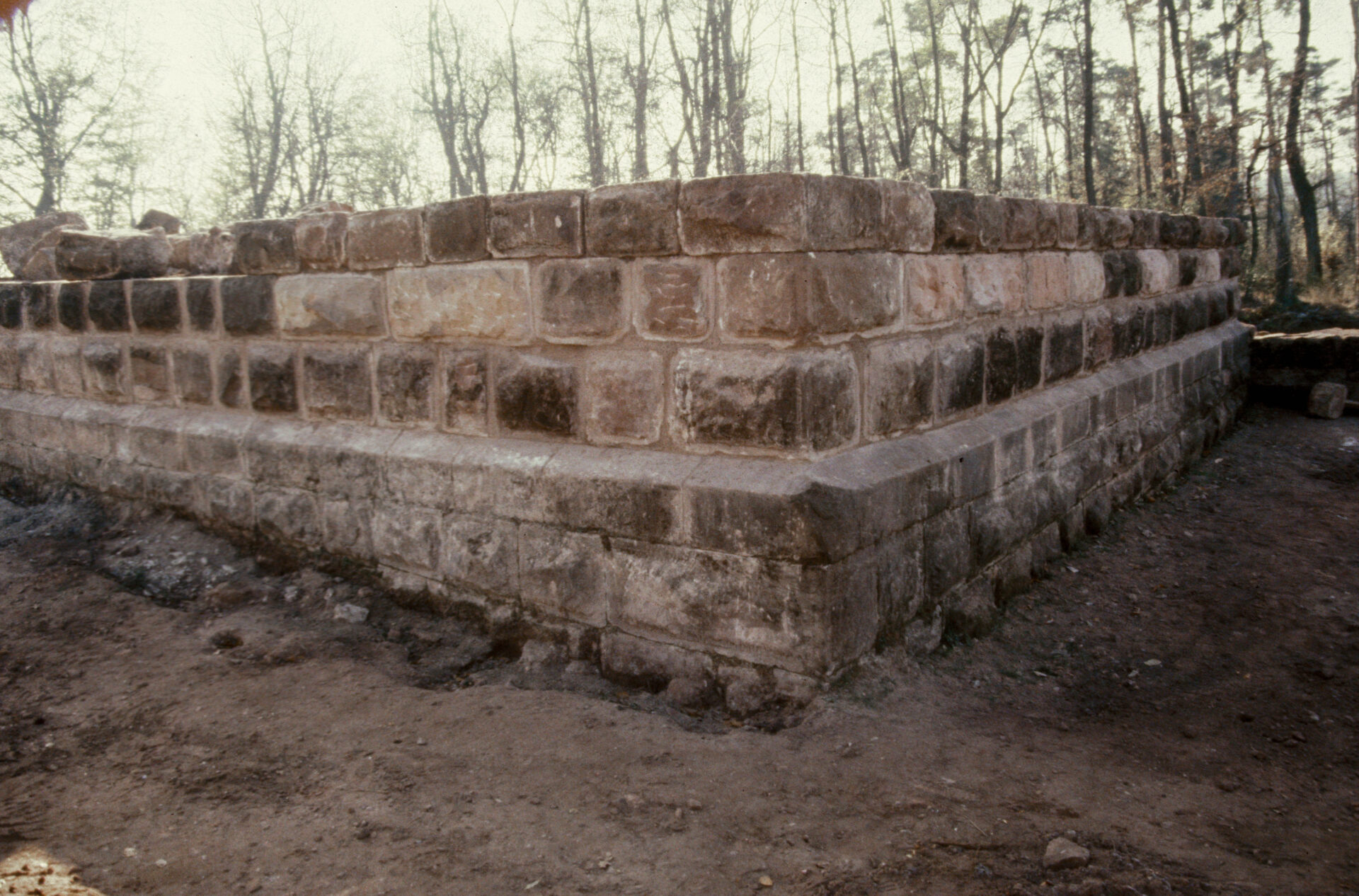 Diapositive - Daubenschlag-Warthenberg - 1989 - 07