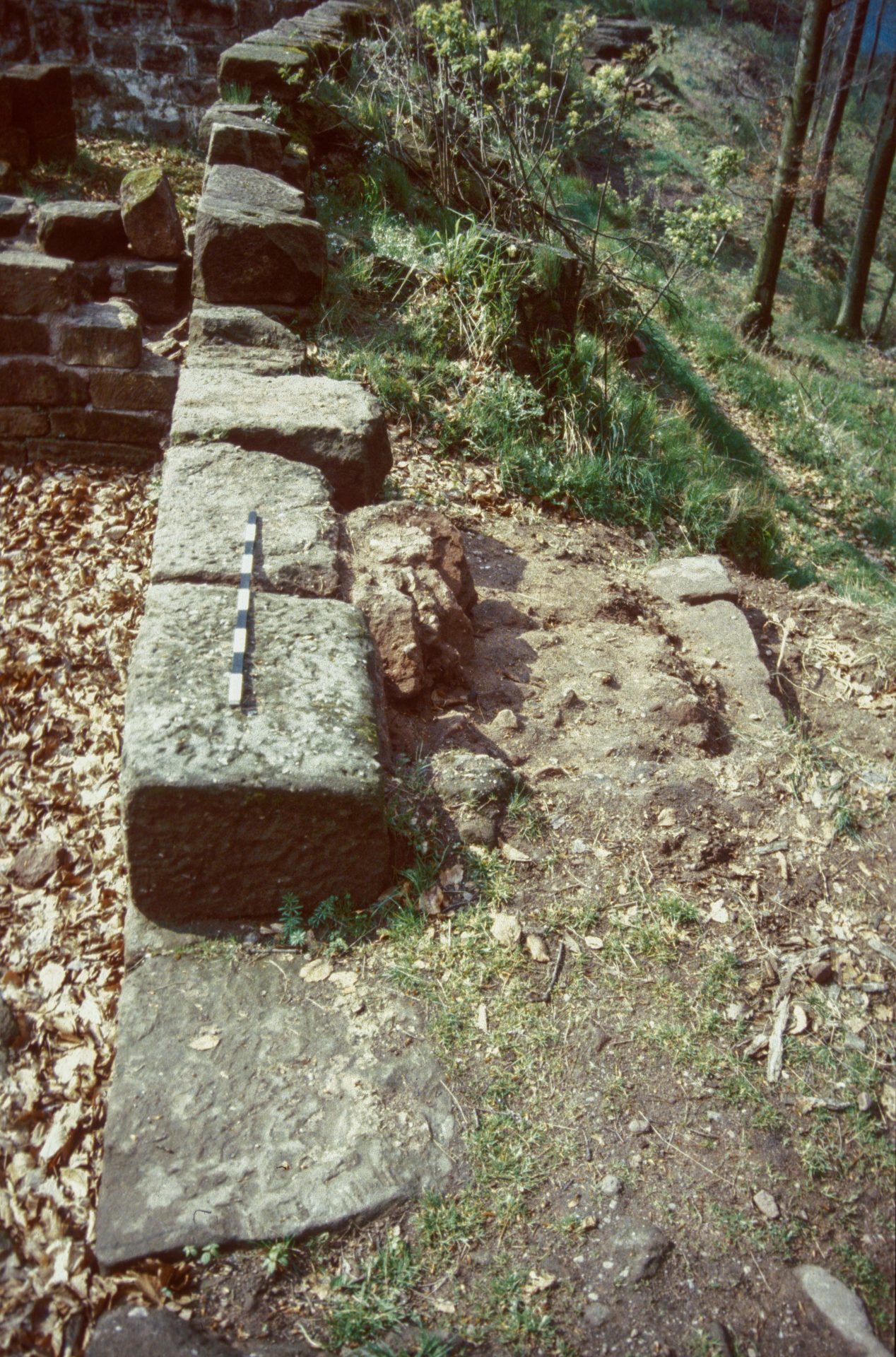 Diapositive - Daubenschlag-Warthenberg - 1989 - 01