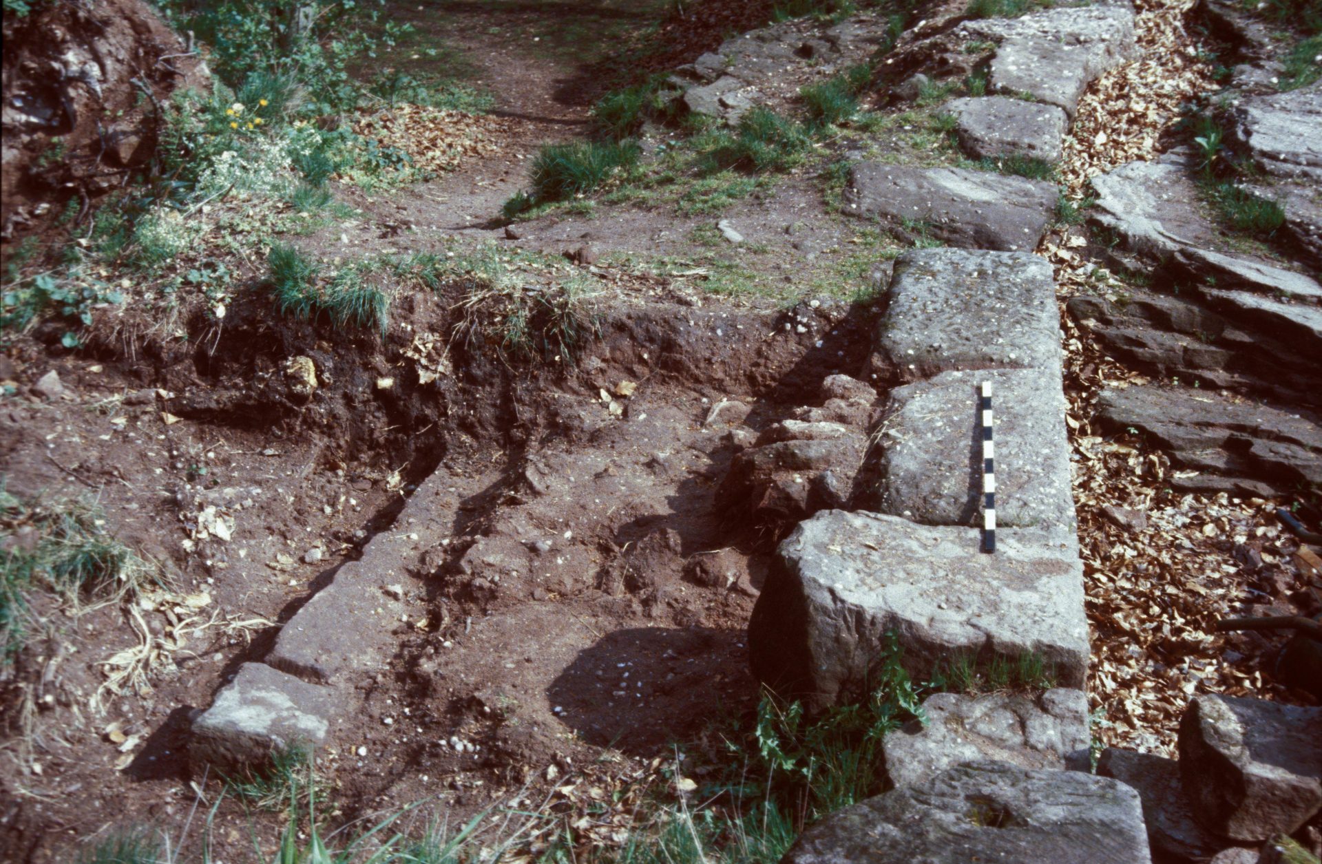 Diapositive - Daubenschlag-Warthenberg - 1989 - 03