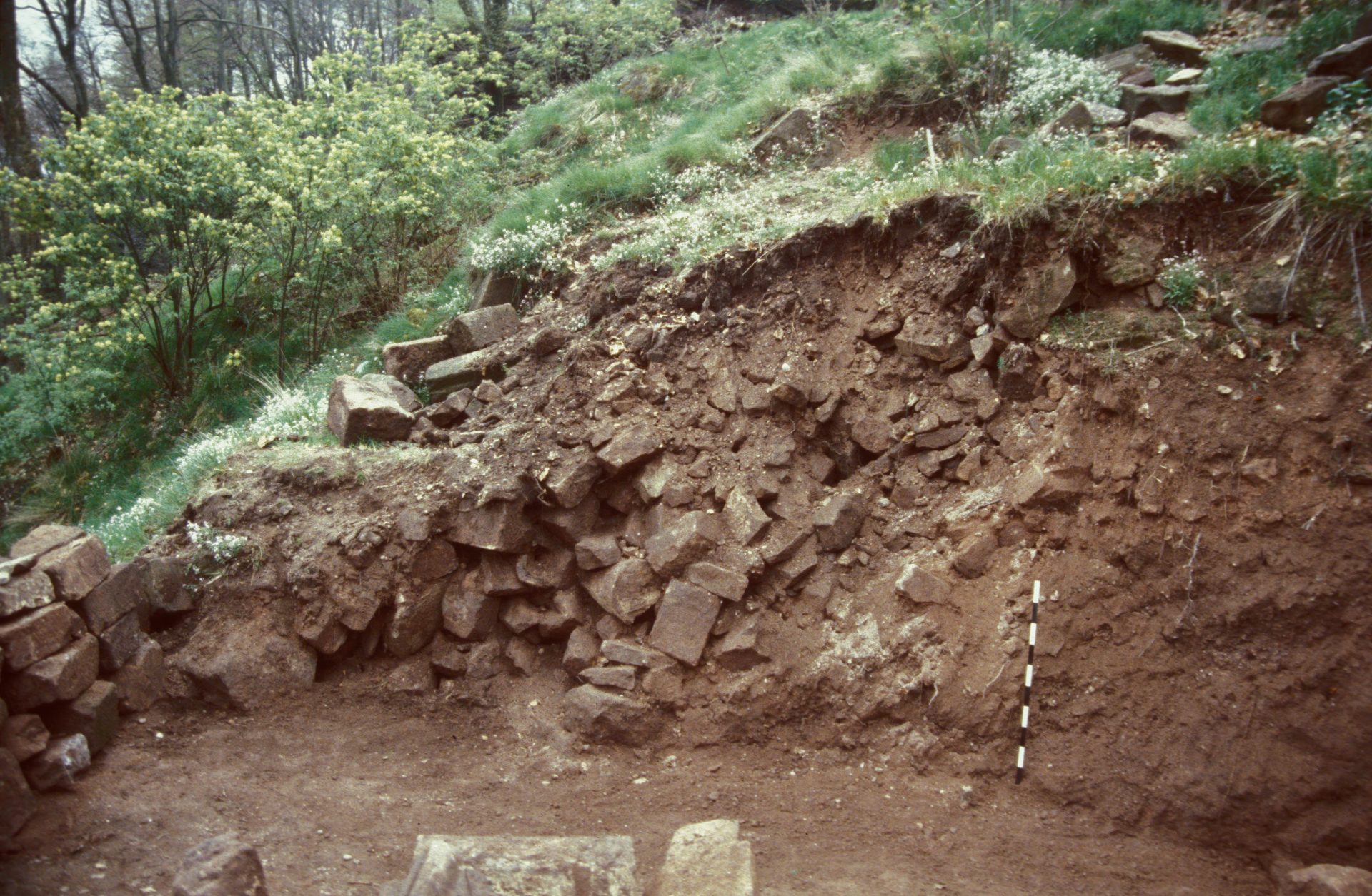 Diapositive - Daubenschlag-Warthenberg - 1989 - 05
