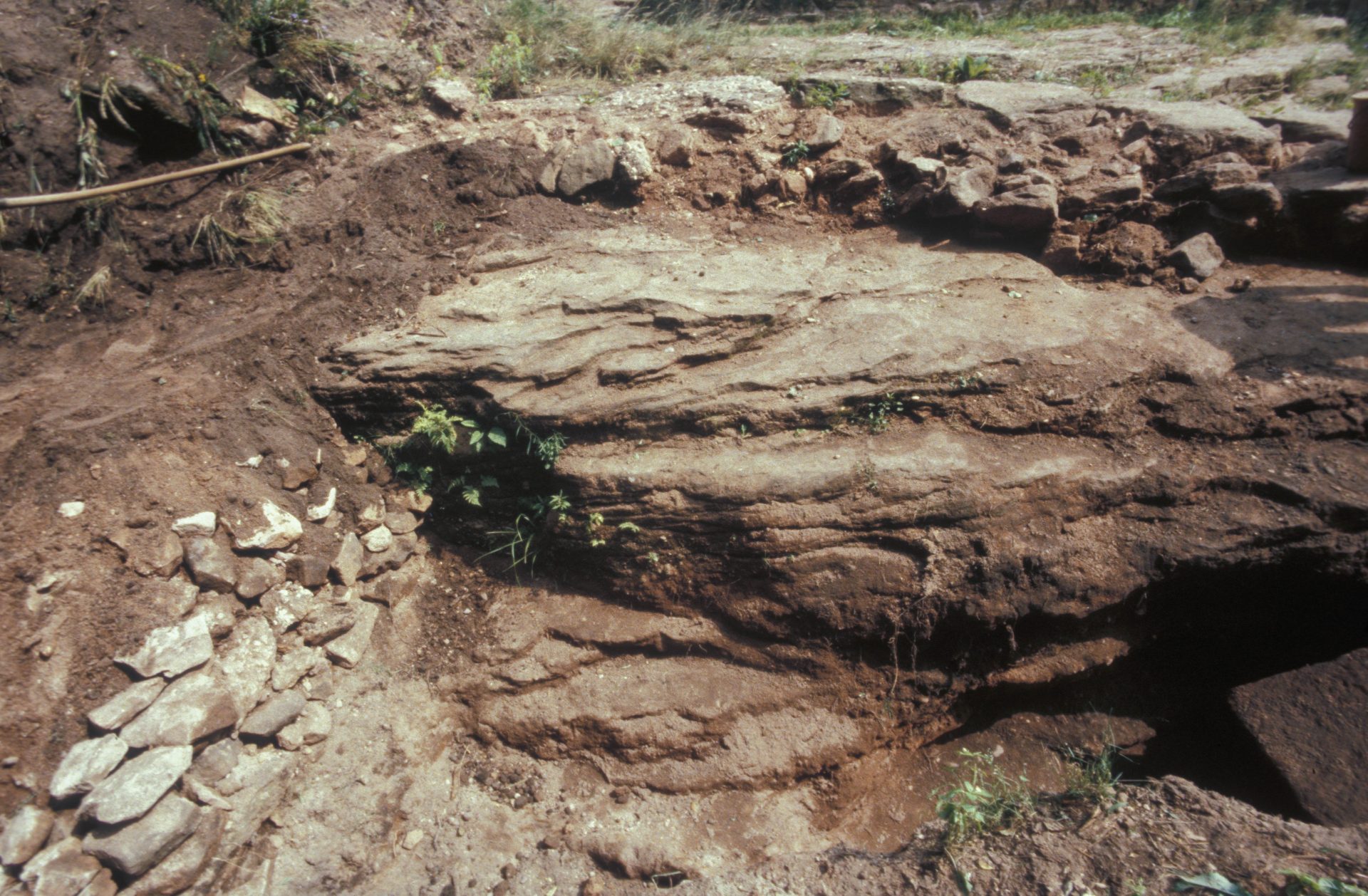Diapositive - Daubenschlag-Warthenberg - 1989 - 04