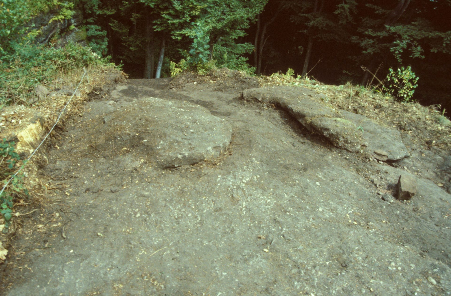 Diapositive - Daubenschlag-Warthenberg - 1989 - 07