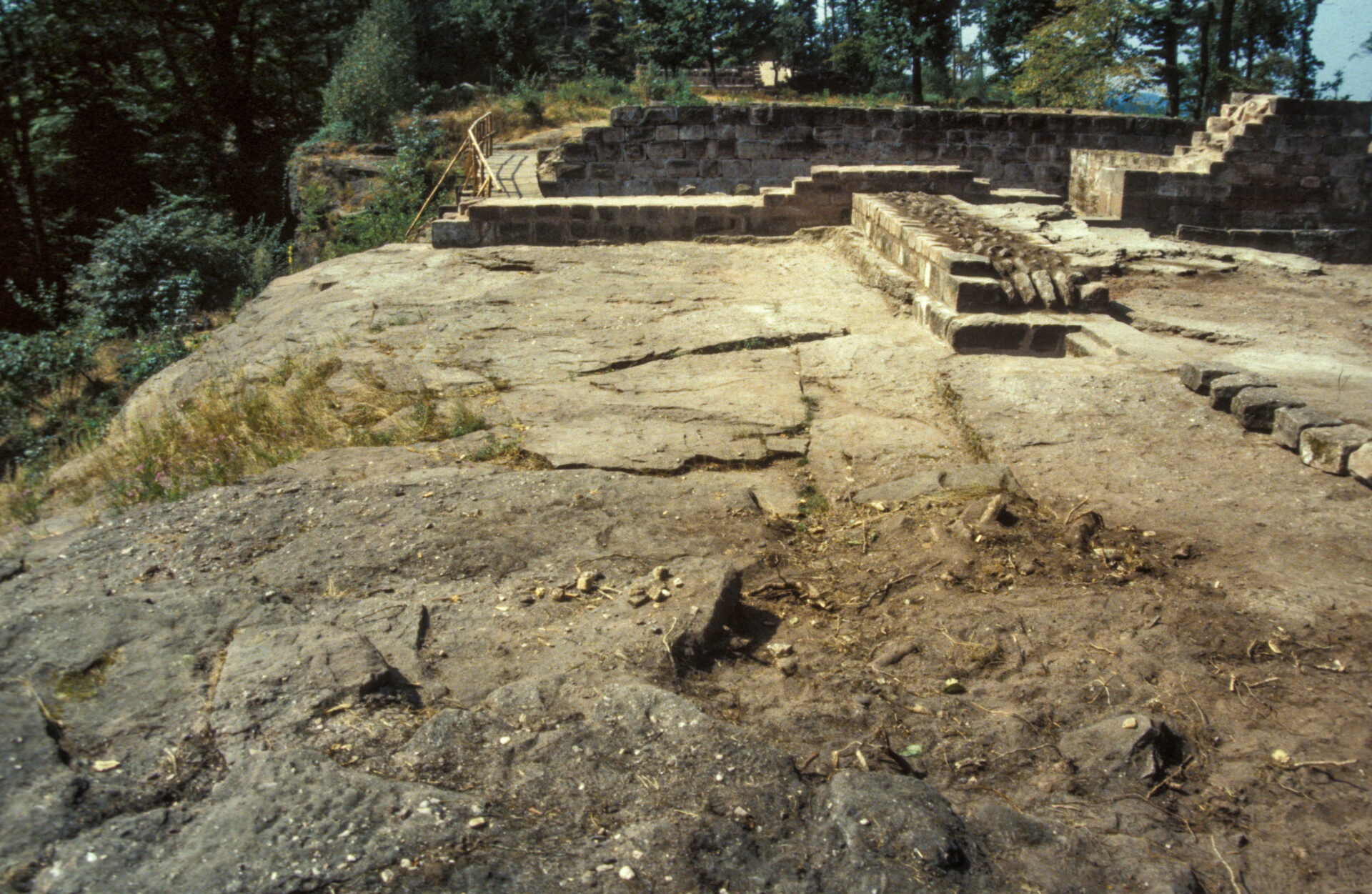 Diapositive - Daubenschlag-Warthenberg - 1990 - 05