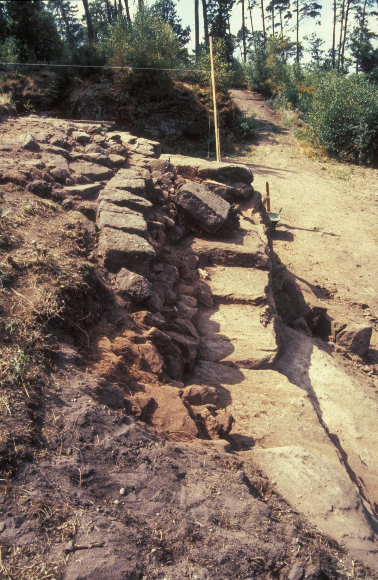 Diapositive - Daubenschlag-Warthenberg - 1990 - 09