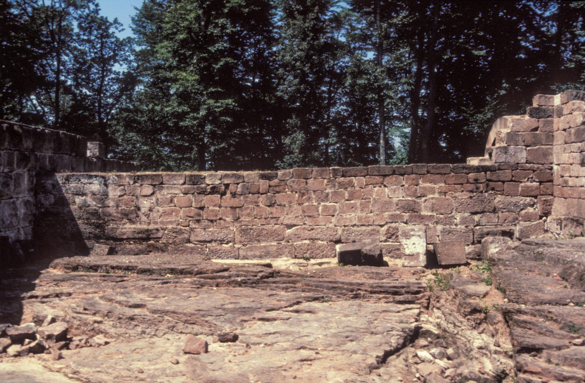 Diapositive - Daubenschlag-Warthenberg - 1990 - 10