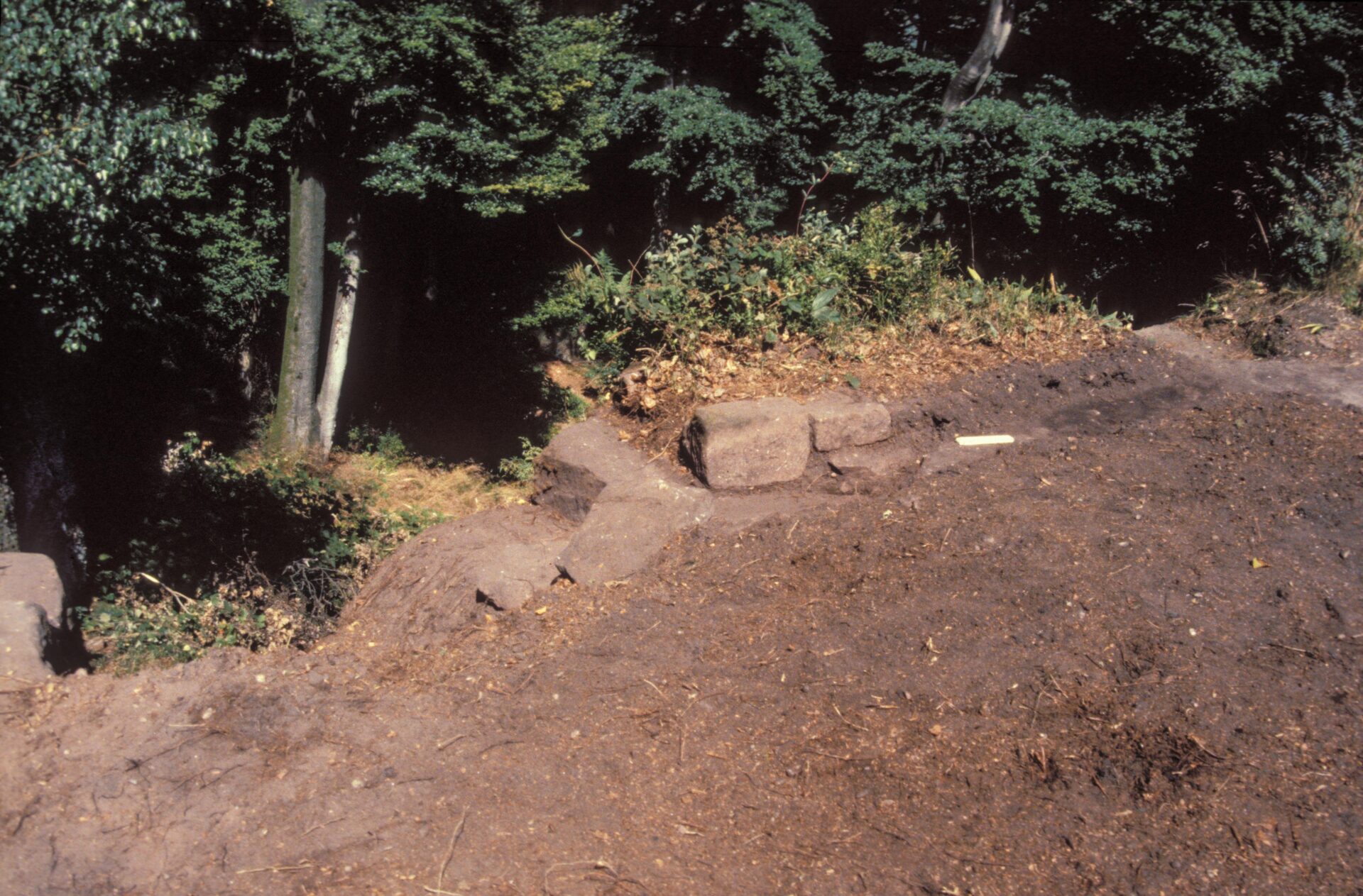 Diapositive - Daubenschlag-Warthenberg - 1990 - 13