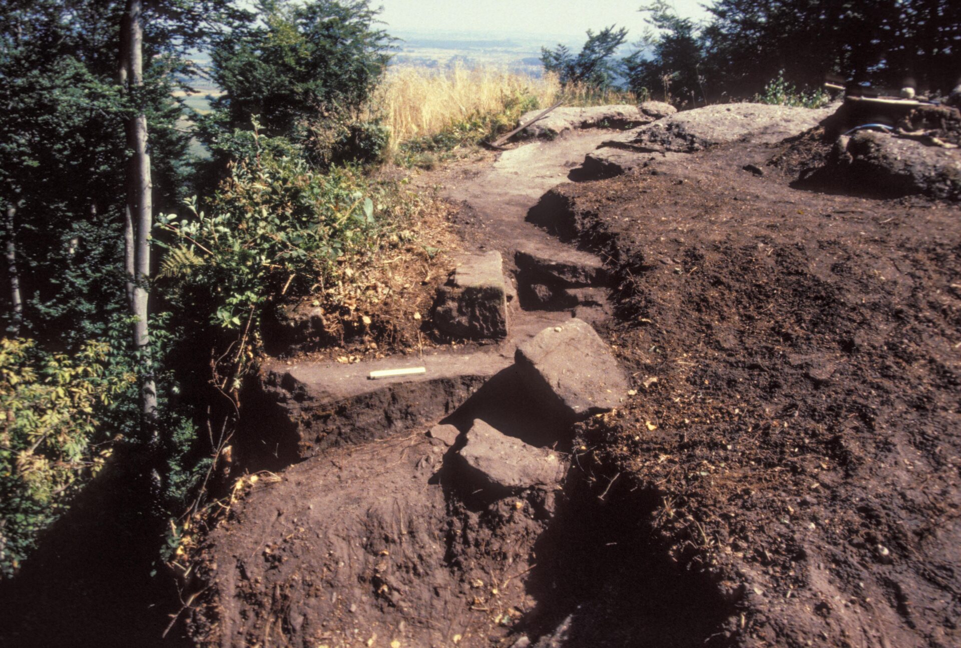 Diapositive - Daubenschlag-Warthenberg - 1990 - 14