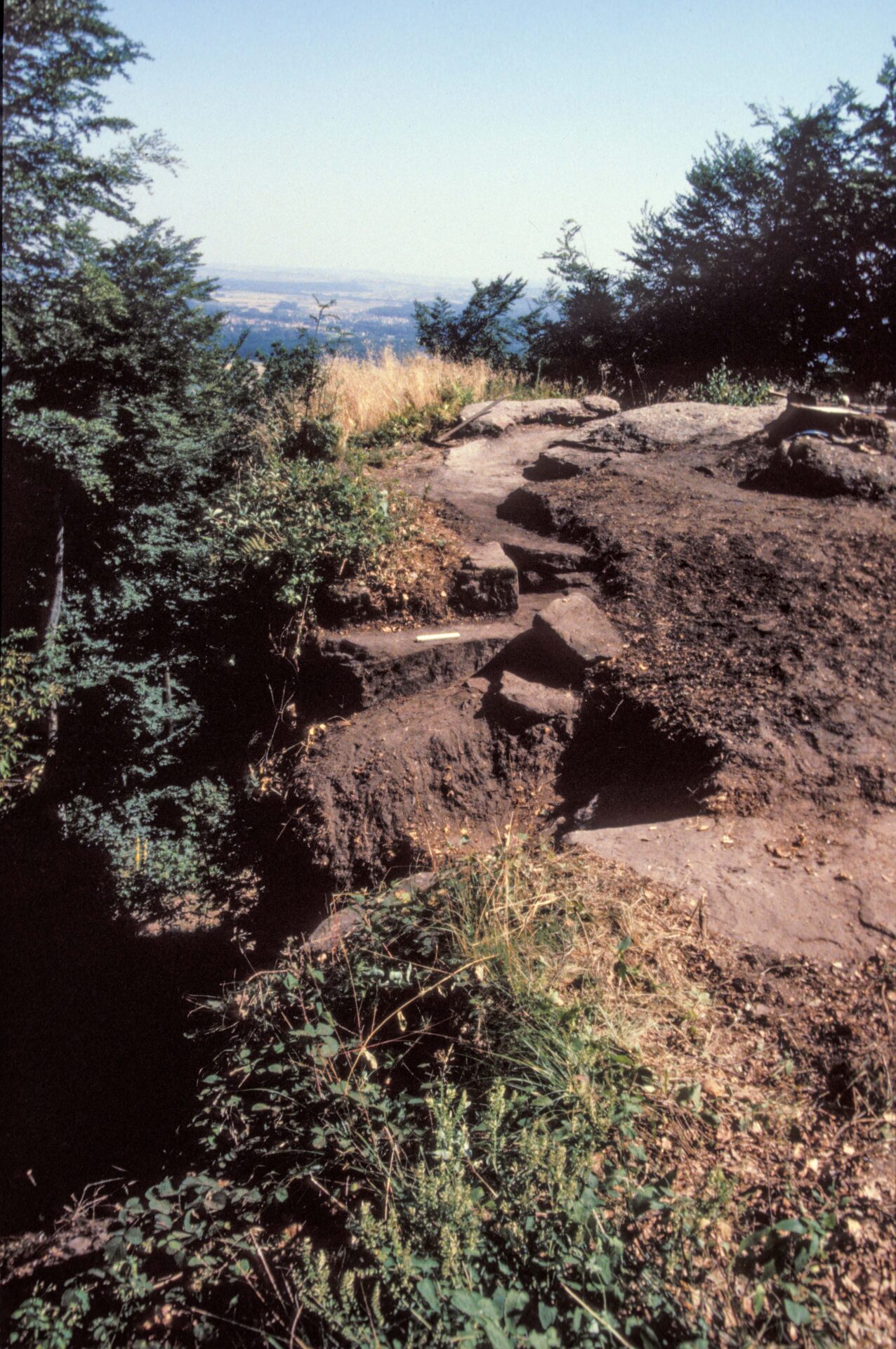 Diapositive - Daubenschlag-Warthenberg - 1990 - 15