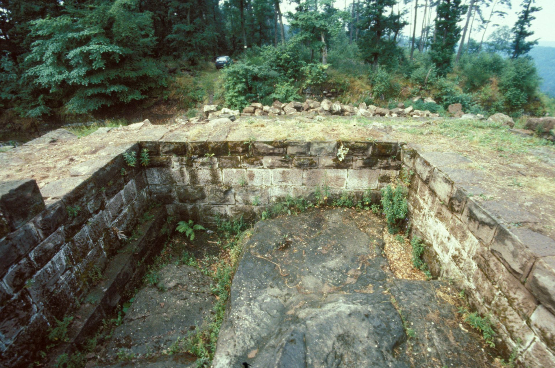 Diapositive - Daubenschlag-Warthenberg - 1989 - 04