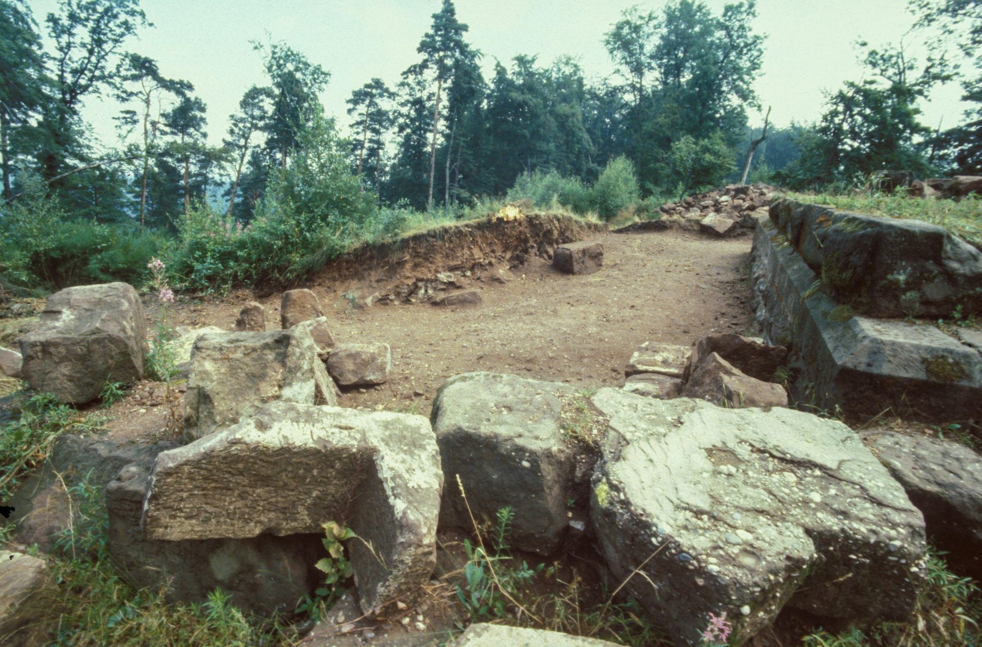 Diapositive - Daubenschlag-Warthenberg - 1989 - 05
