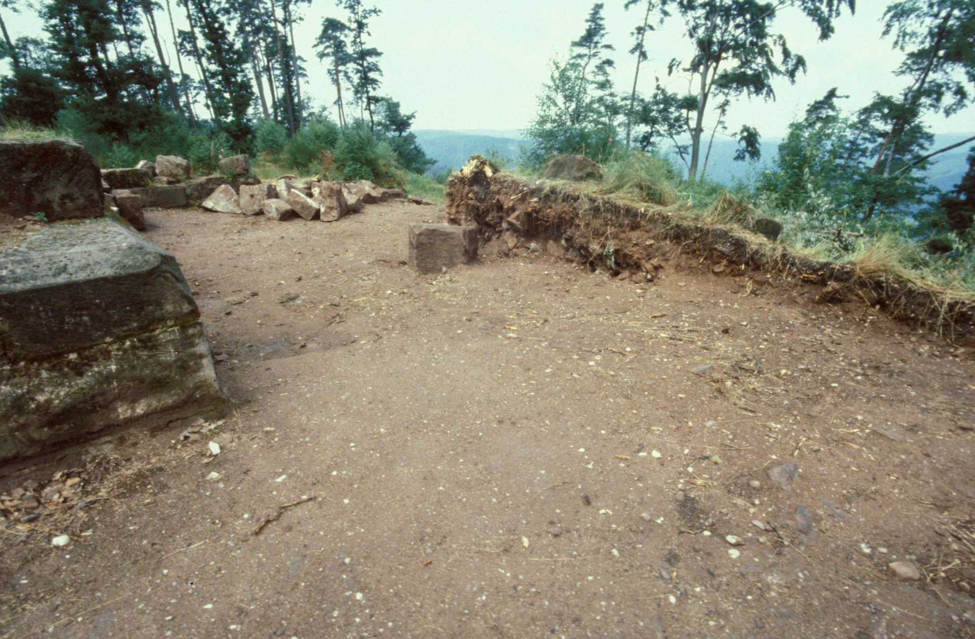 Diapositive - Daubenschlag-Warthenberg - 1989 - 06