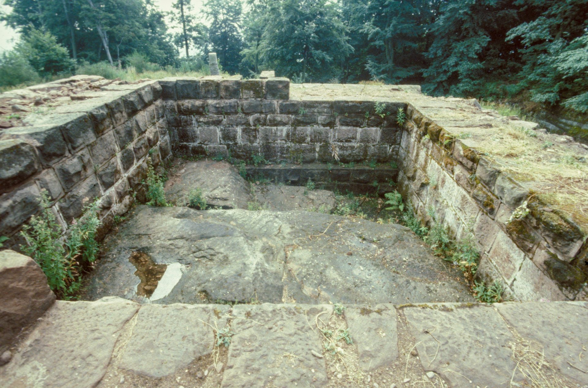 Diapositive - Daubenschlag-Warthenberg - 1989 - 08