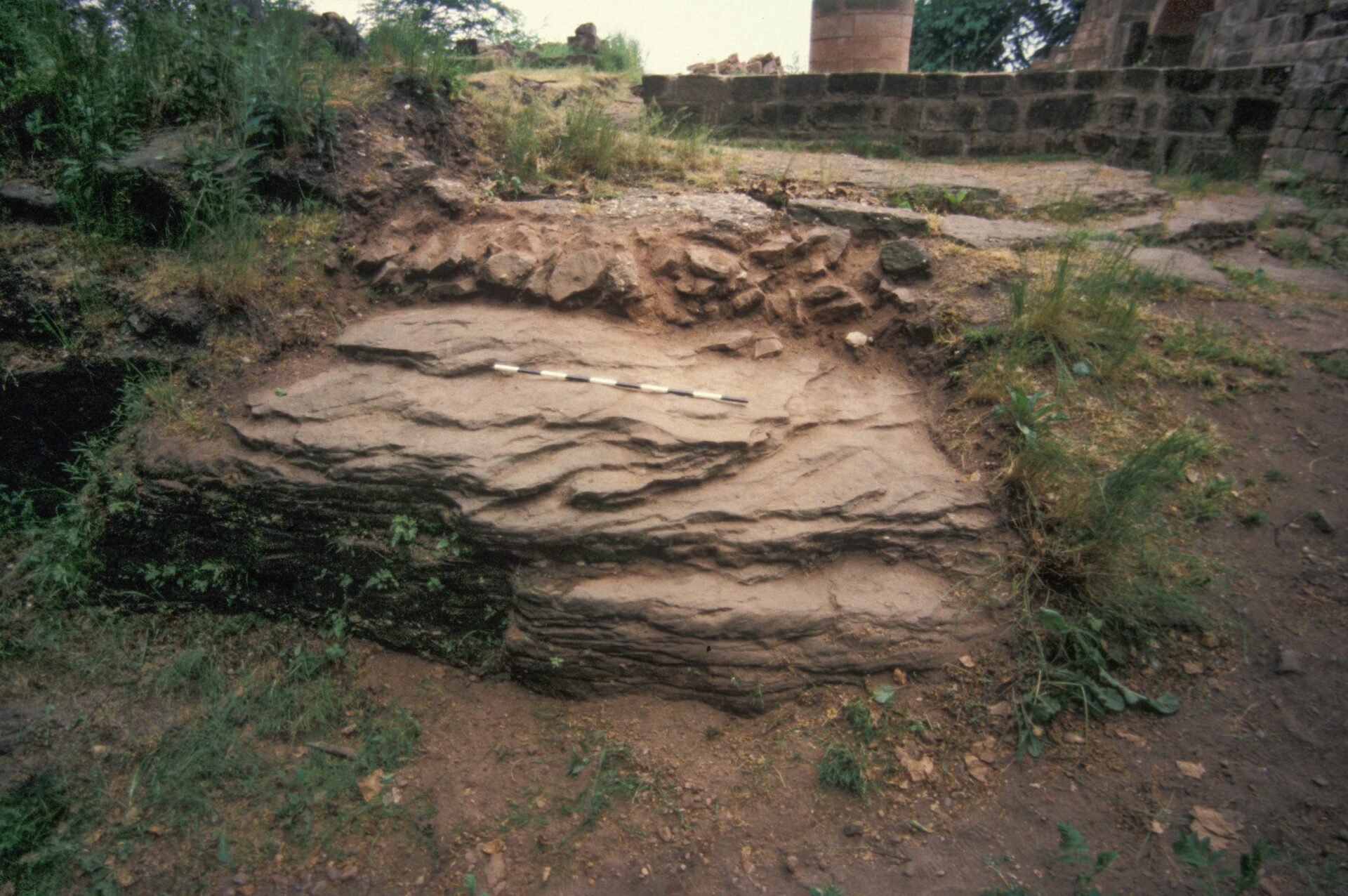Diapositive - Daubenschlag-Warthenberg - 1989 - 01