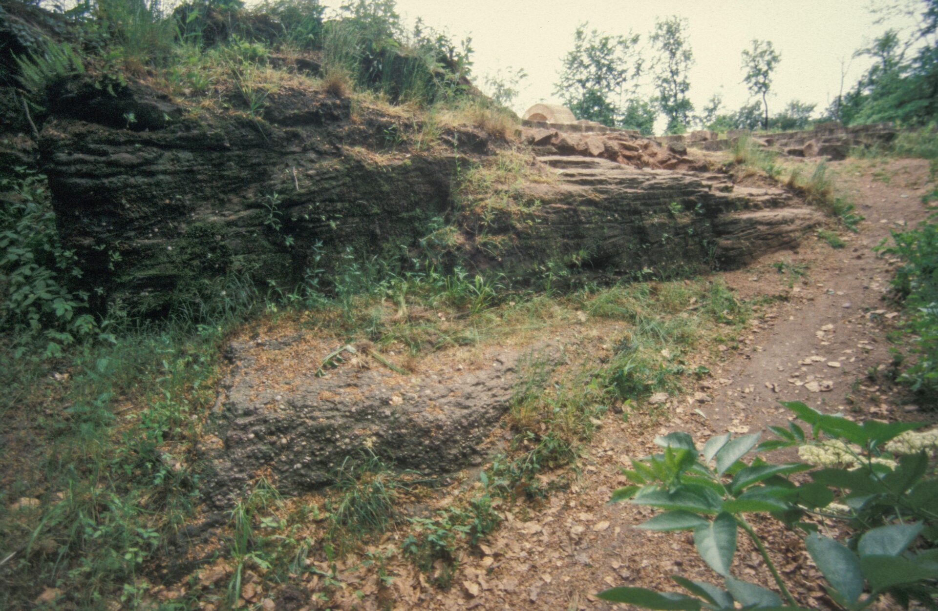 Diapositive - Daubenschlag-Warthenberg - 1989 - 02