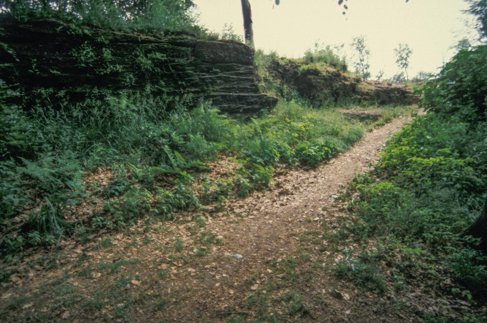 Diapositive - Daubenschlag-Warthenberg - 1989 - 04
