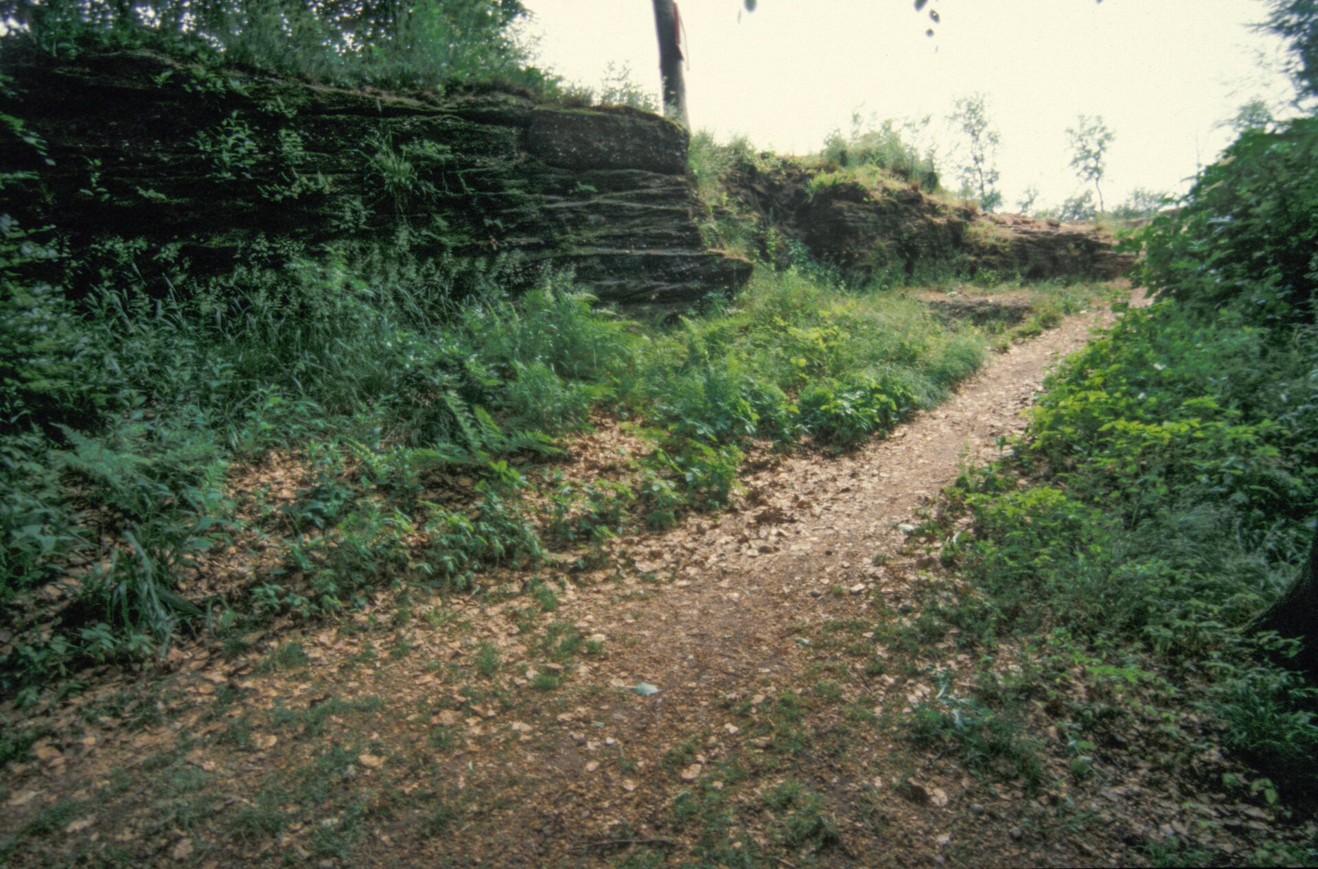 Diapositive - Daubenschlag-Warthenberg - 1989 - 05