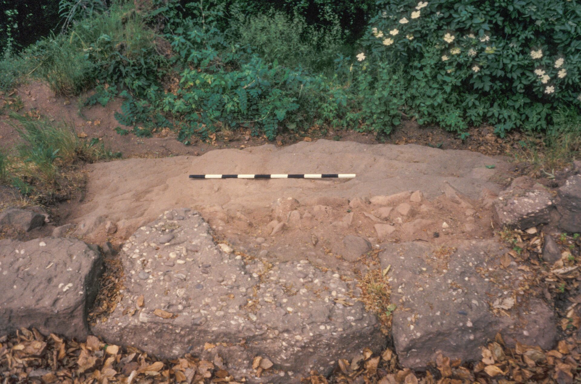 Diapositive - Daubenschlag-Warthenberg - 1989 - 06