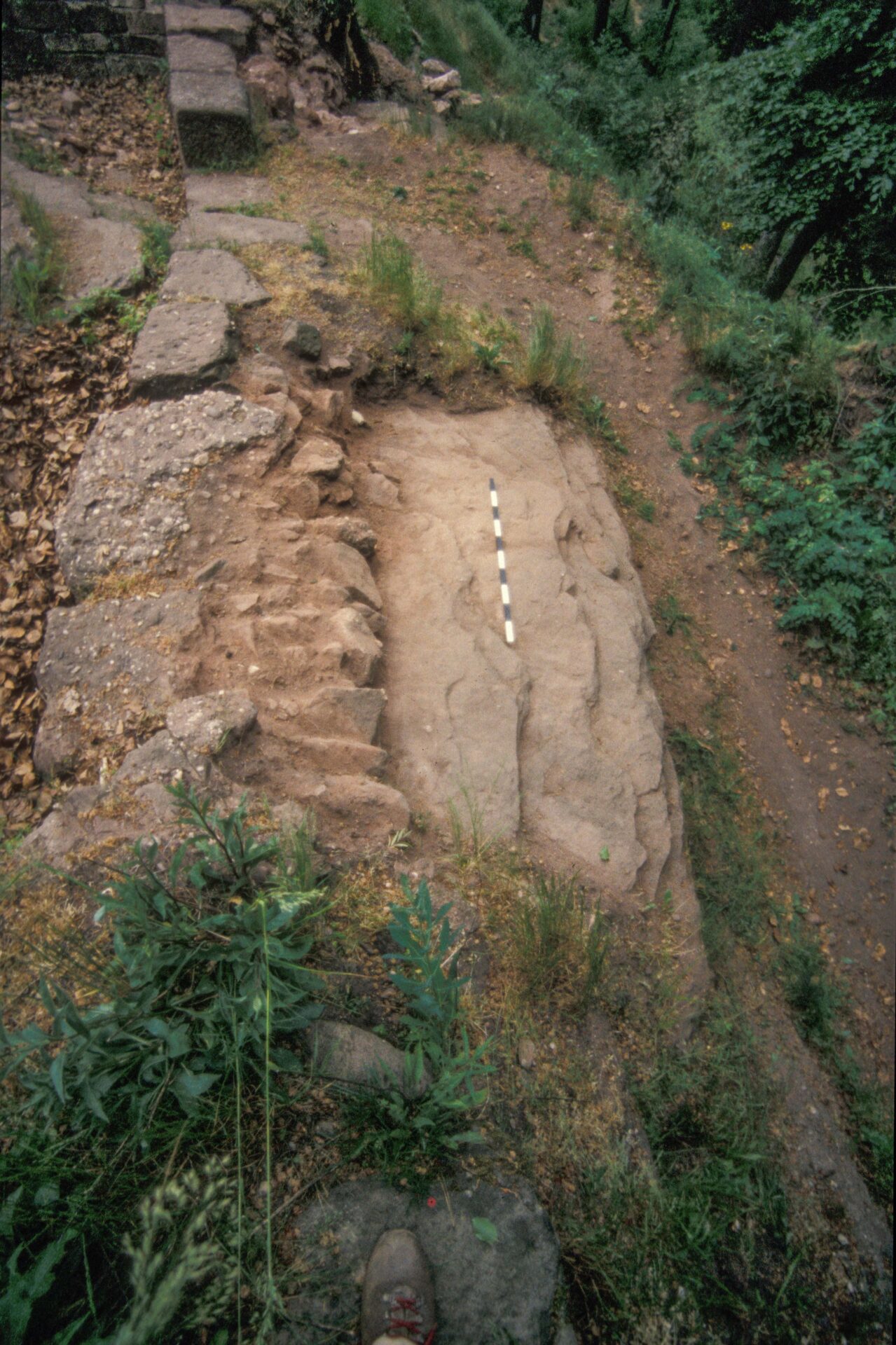 Diapositive - Daubenschlag-Warthenberg - 1989 - 07