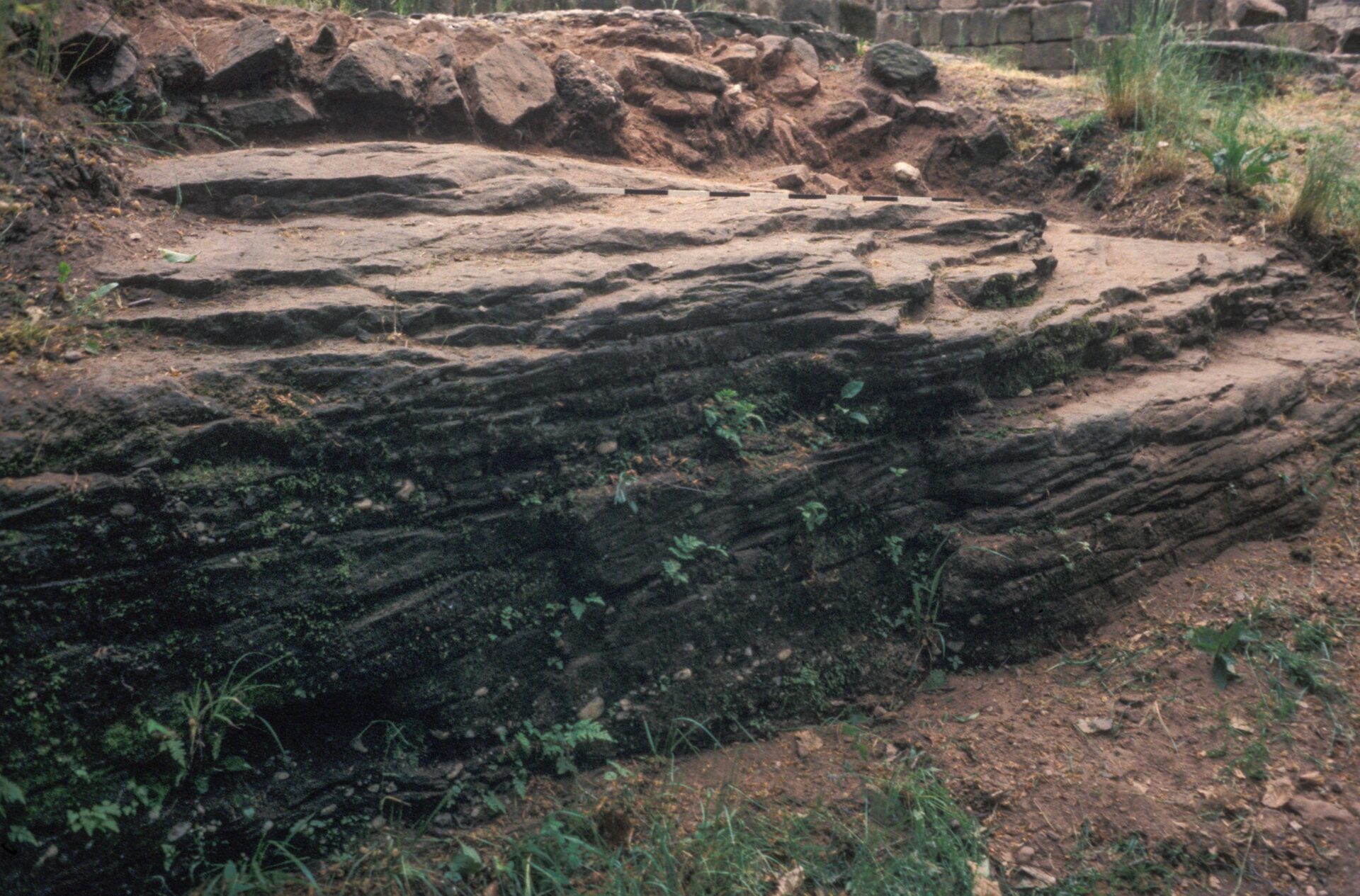 Diapositive - Daubenschlag-Warthenberg - 1989 - 09