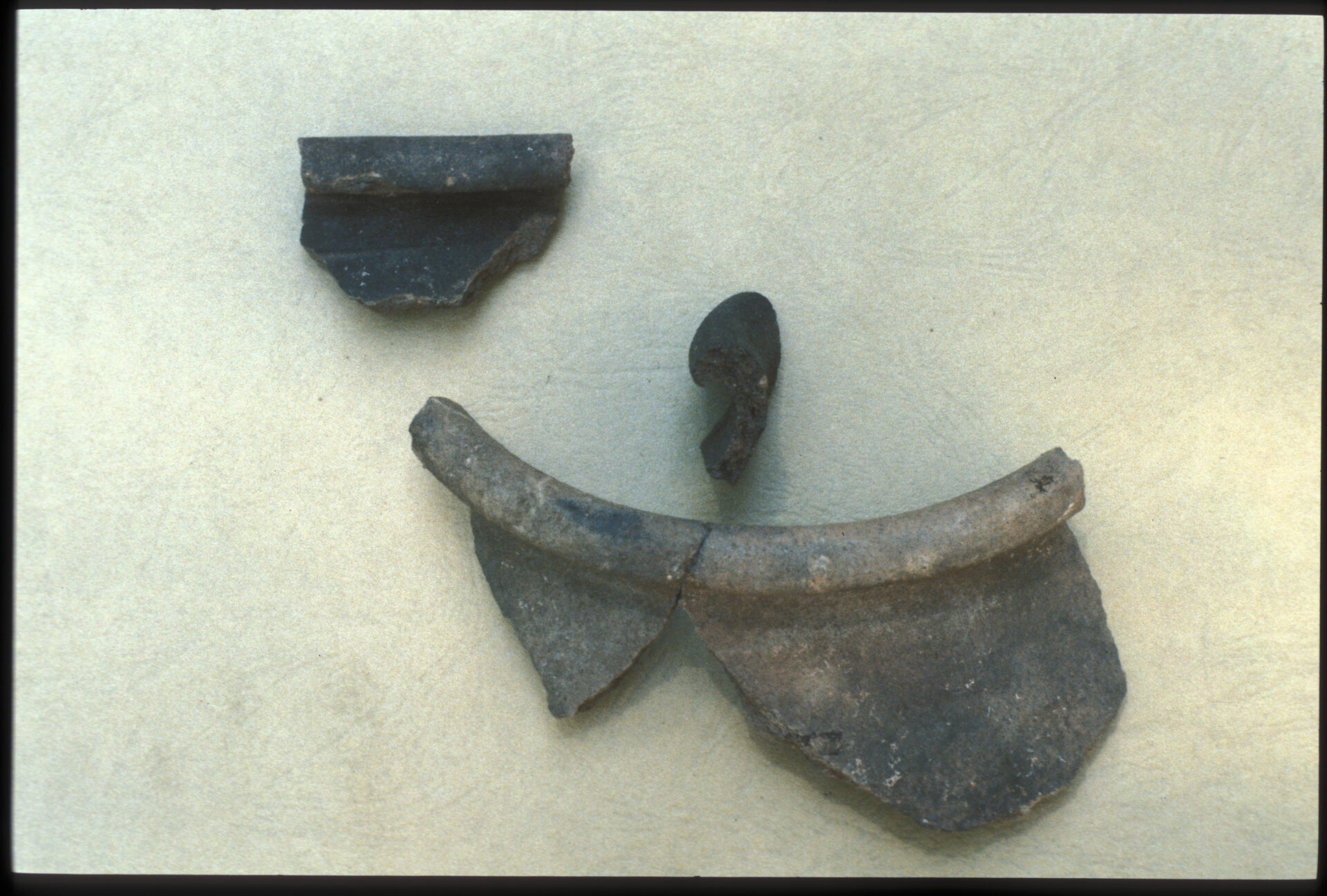 Diapositive - Daubenschlag-Warthenberg - 1990 - A11