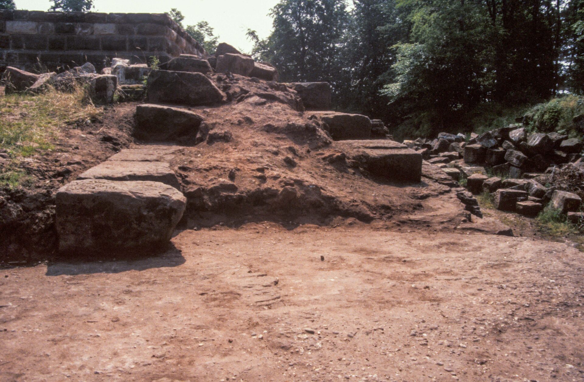 Diapositive - Daubenschlag-Warthenberg - 1990 - 07