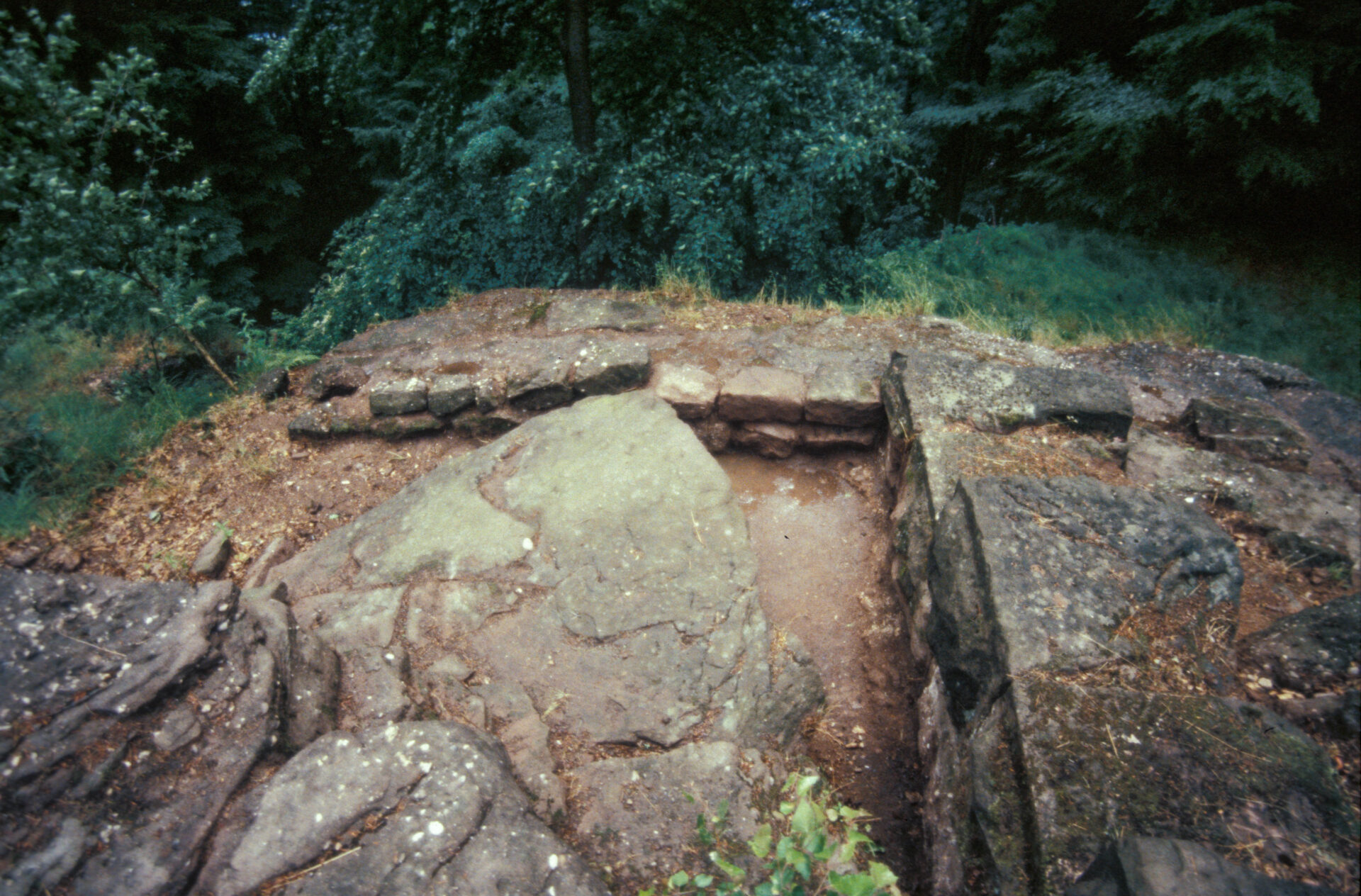 Diapositive - Daubenschlag-Warthenberg - 1990 - 014