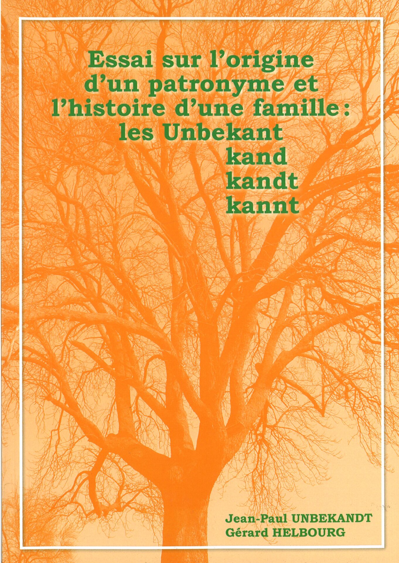 Essai sur l'origine d'un patronyme et l'histoire d'une famille : les Unbekant/kand/kandt/kannt - Les chroniques de Romanswiller