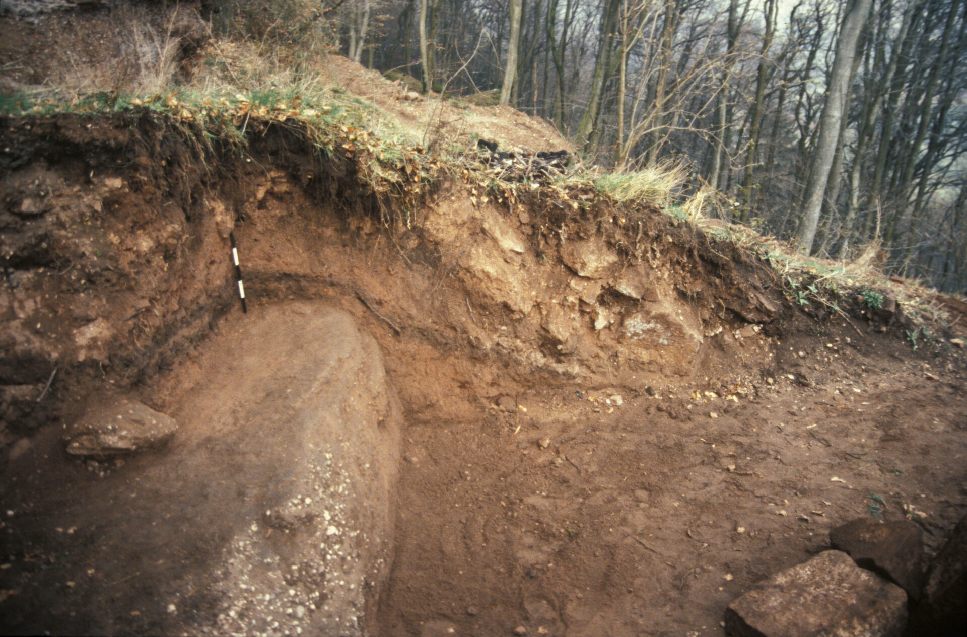Diapositive - Daubenschlag-Warthenberg - 1990 - 04