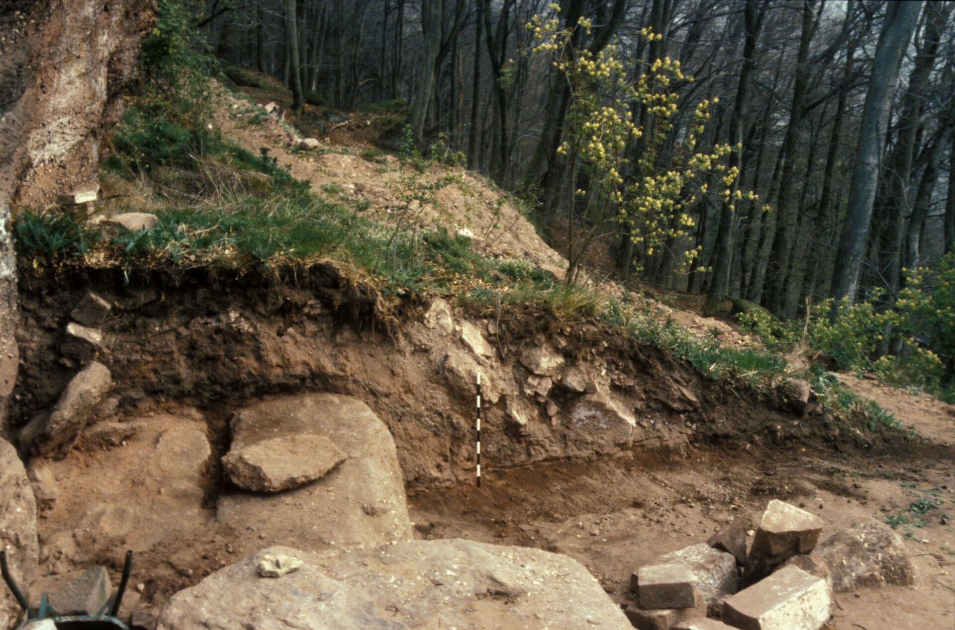 Diapositive - Daubenschlag-Warthenberg - 1990 - 01
