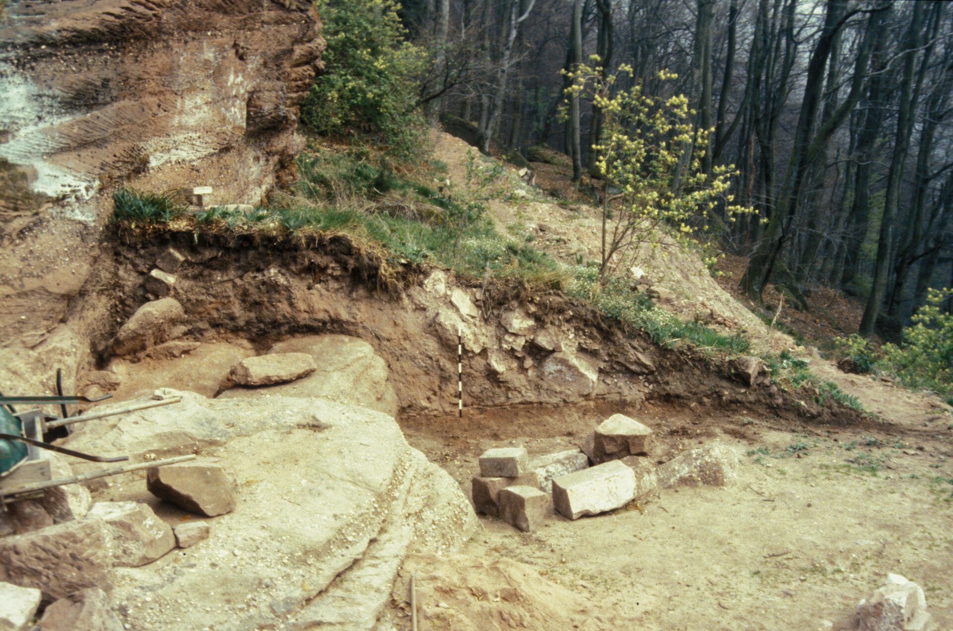 Diapositive - Daubenschlag-Warthenberg - 1990 - 03