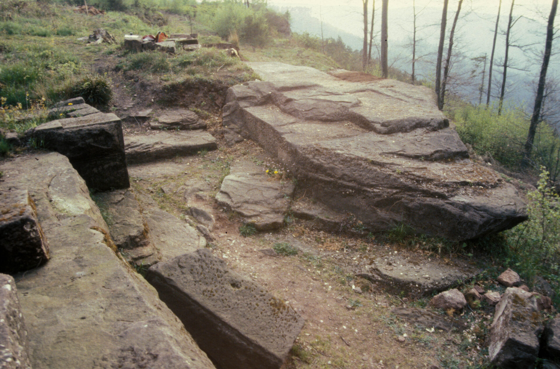 Diapositive - Daubenschlag-Warthenberg - 1990 - 04