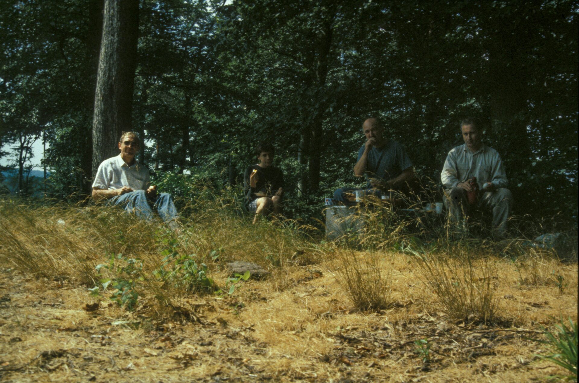 Diapositive - Daubenschlag-Warthenberg - 1992 - 18