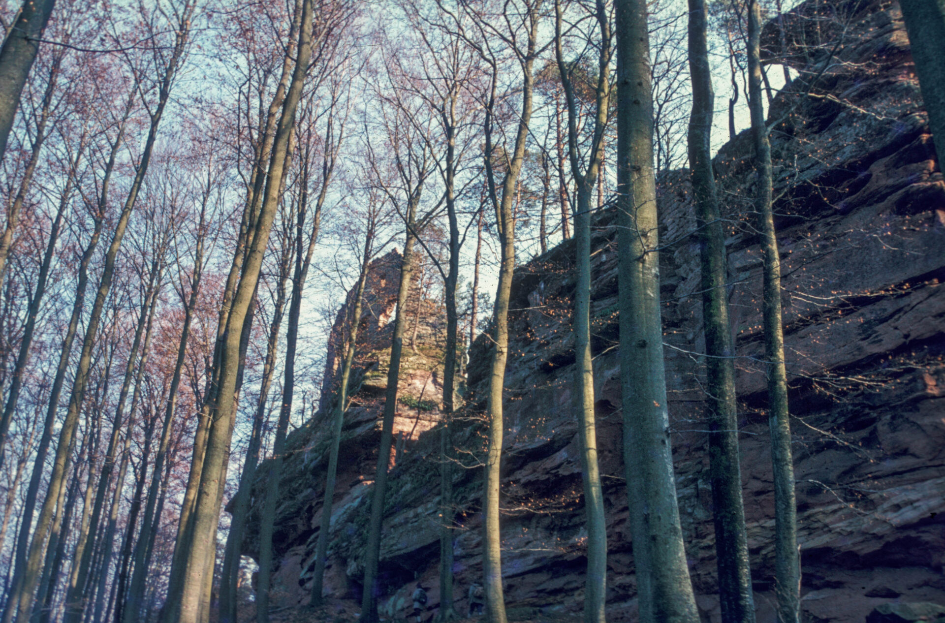 Diapositive - Hohenfels - 1901 - 01