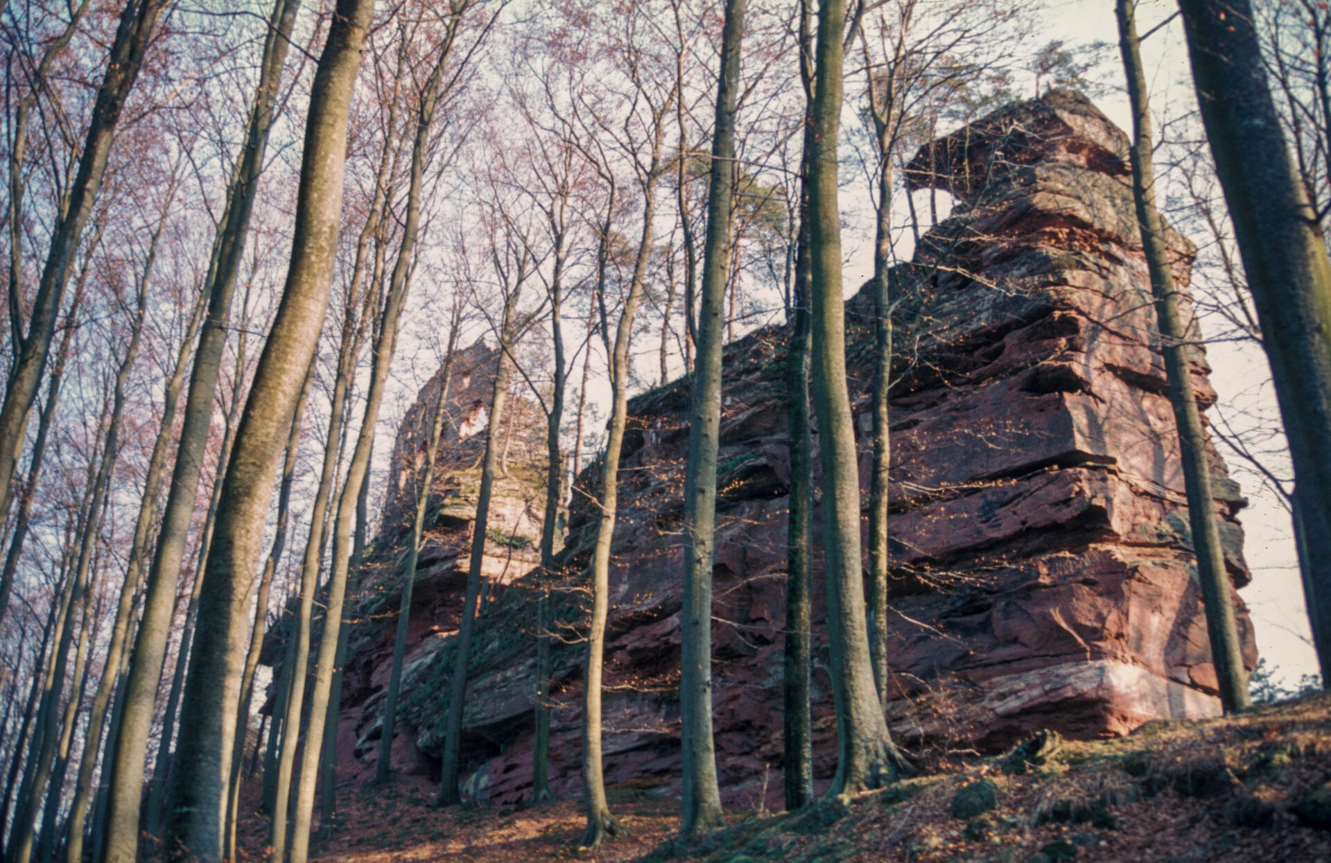 Diapositive - Hohenfels - 04