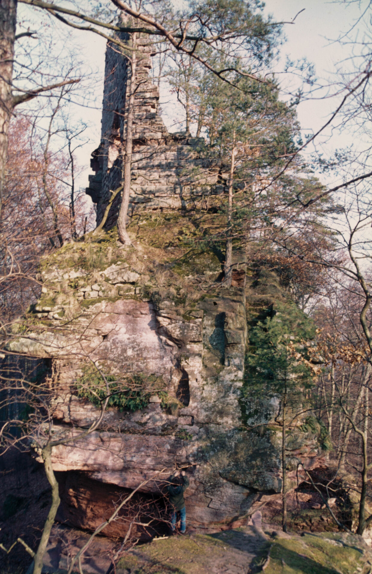 Diapositive - Hohenfels - 05